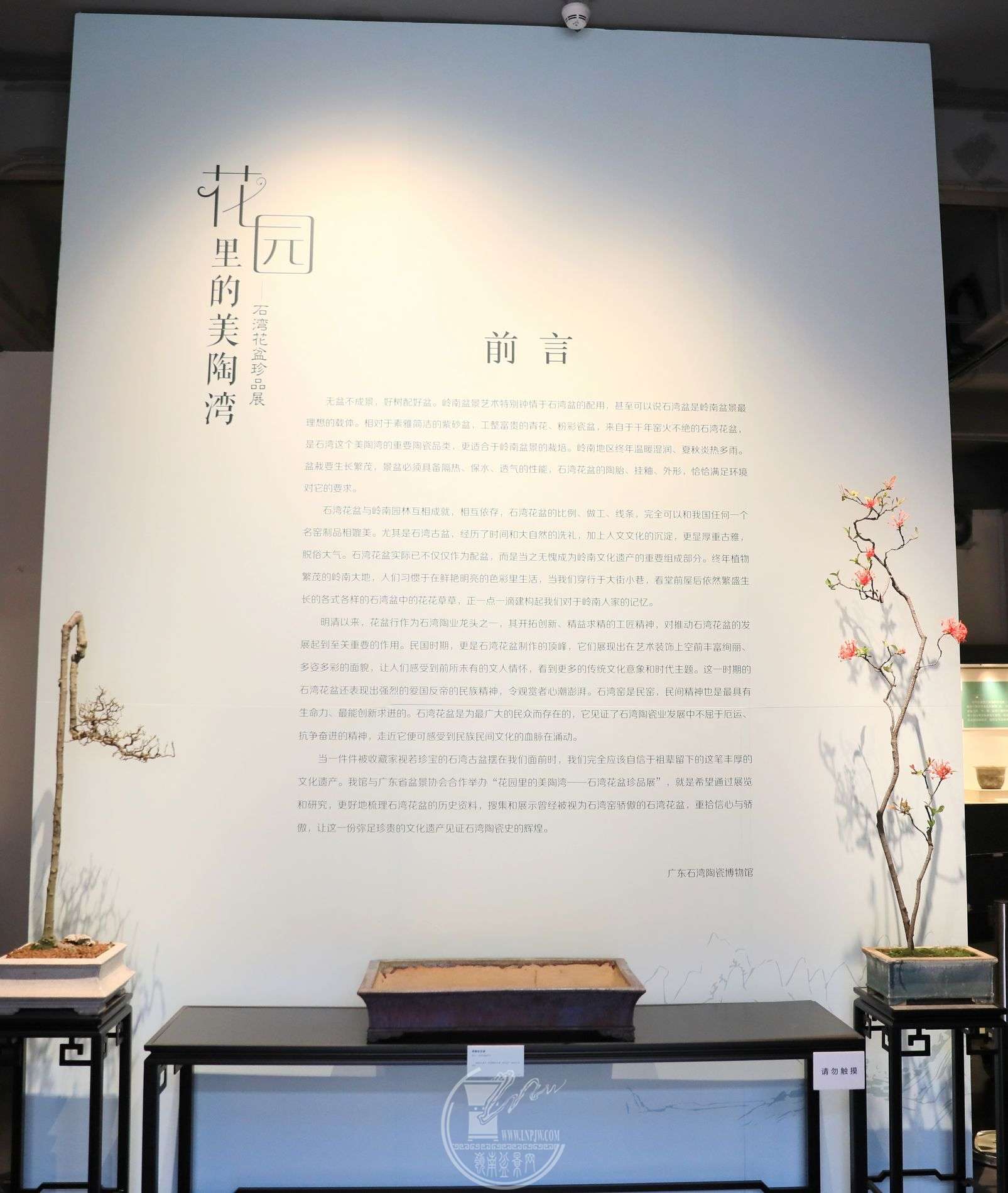 3BG1A3322.jpg