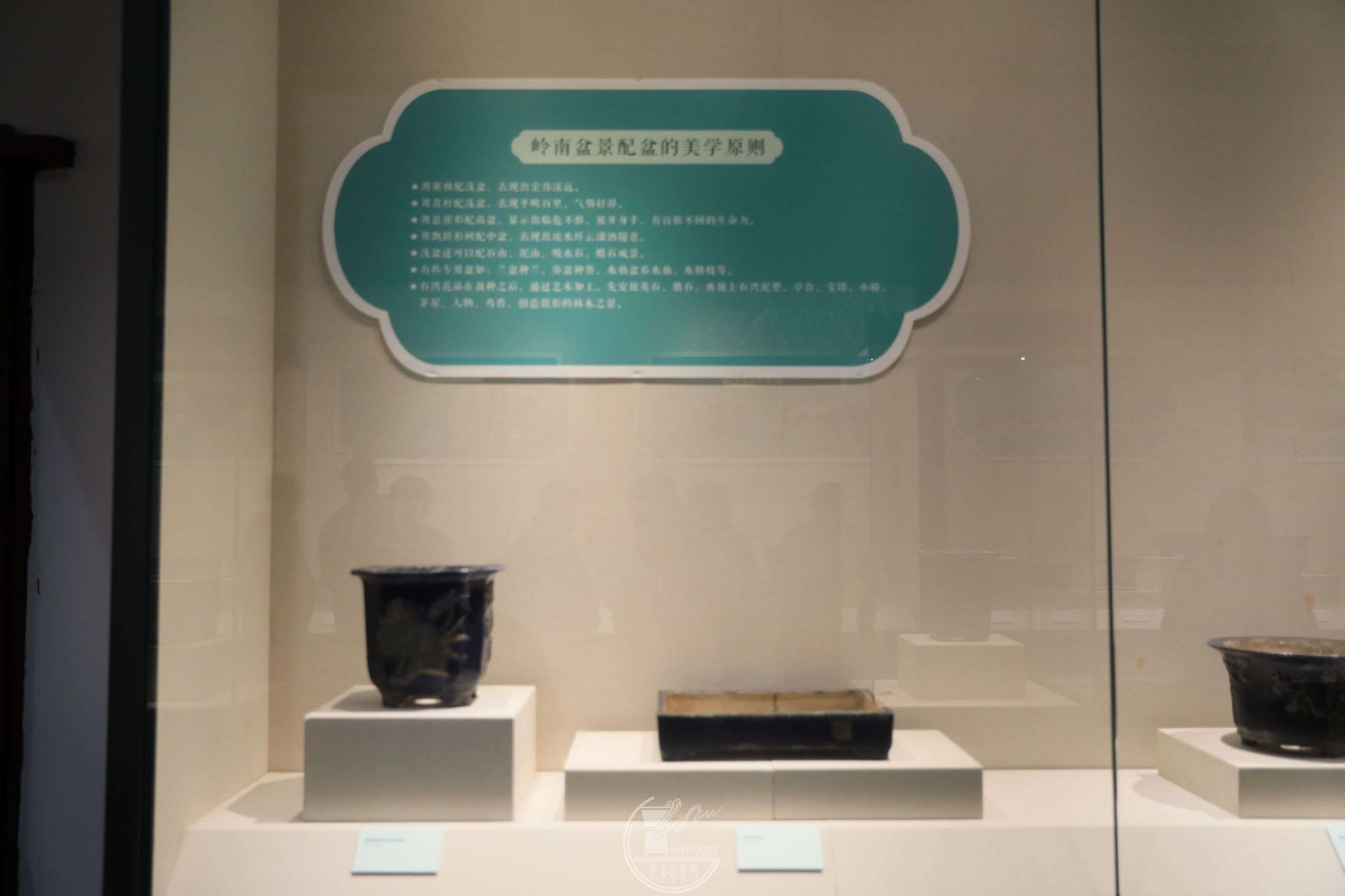 49BG1A3587.jpg
