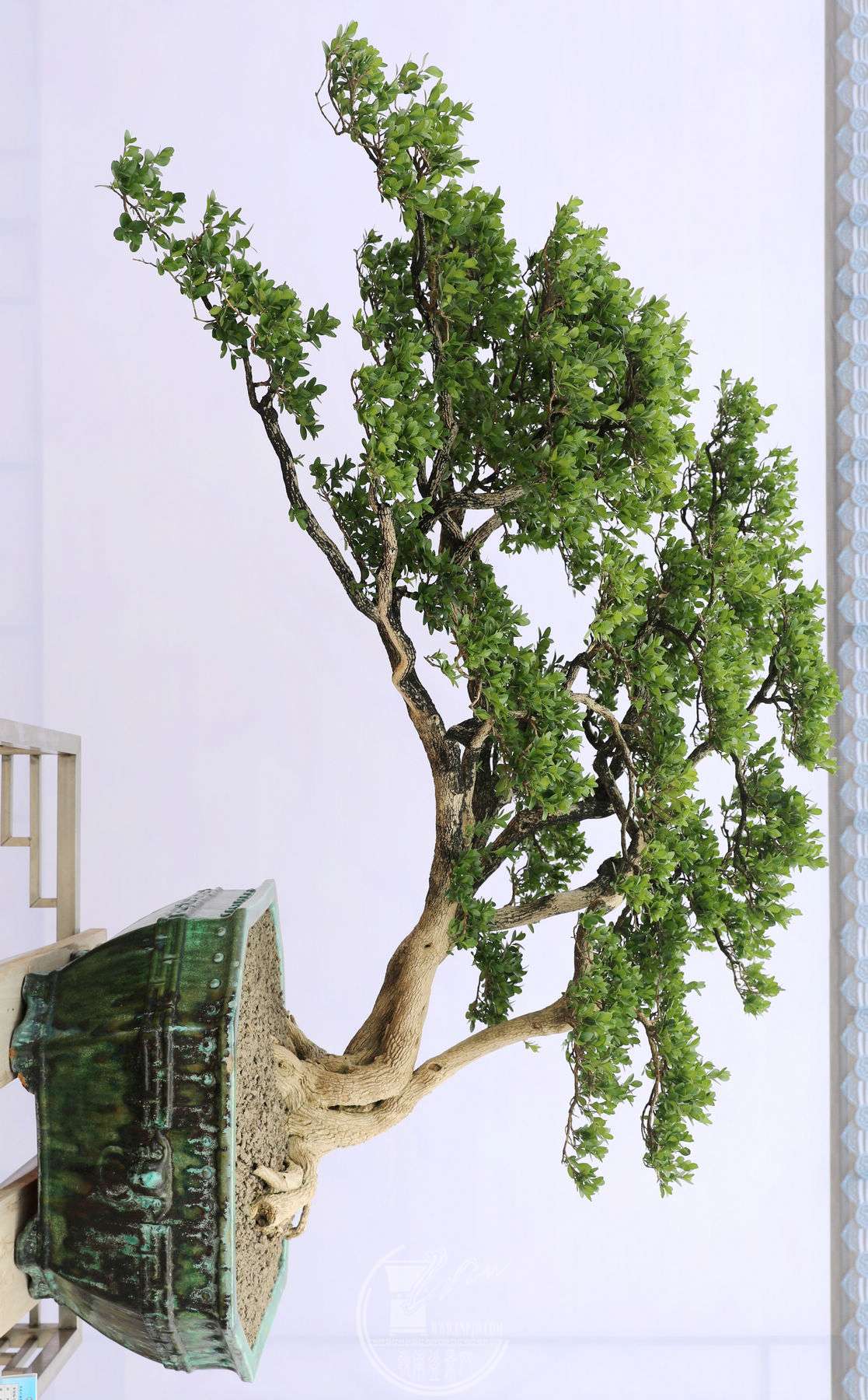 1A4A1810.jpg