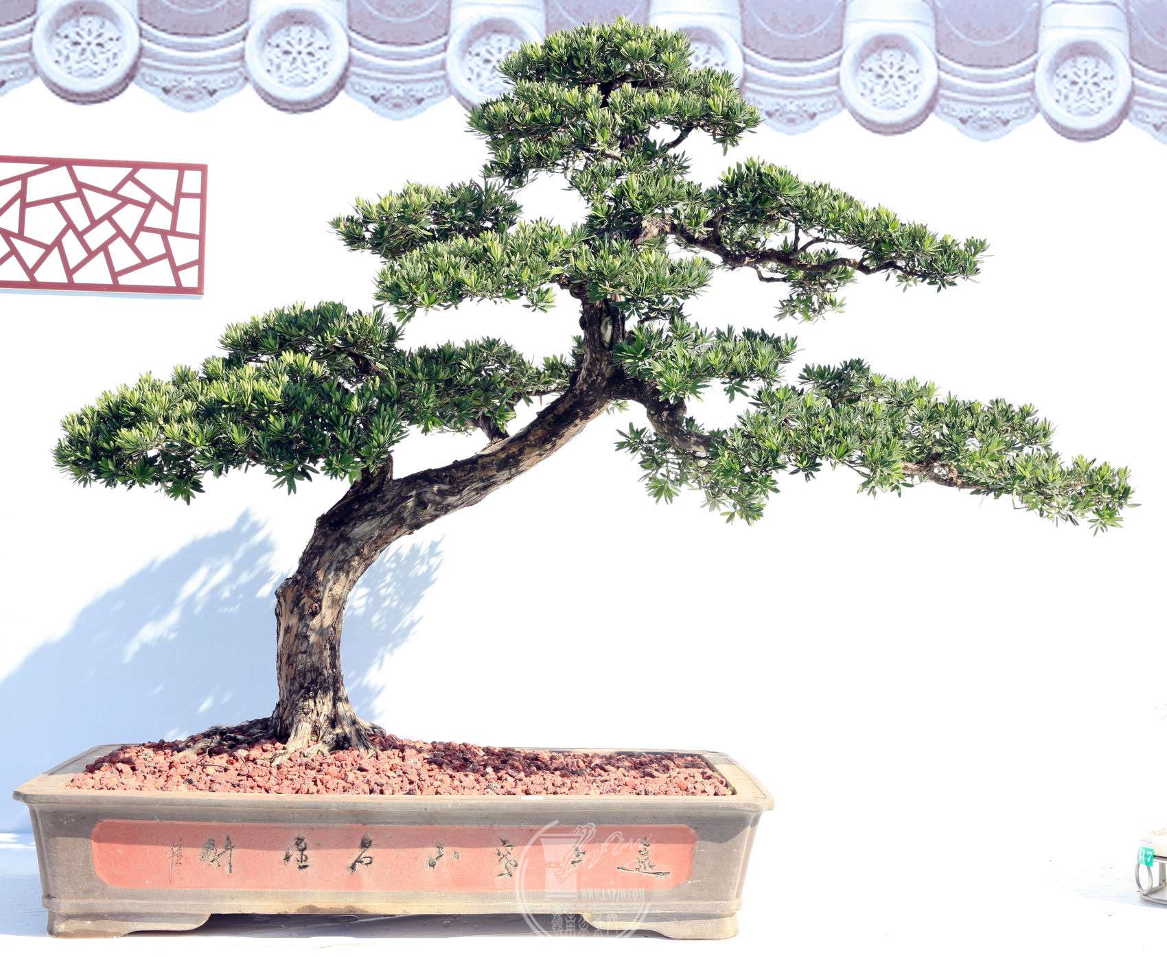 170                           Э              踻       ޺         .jpg