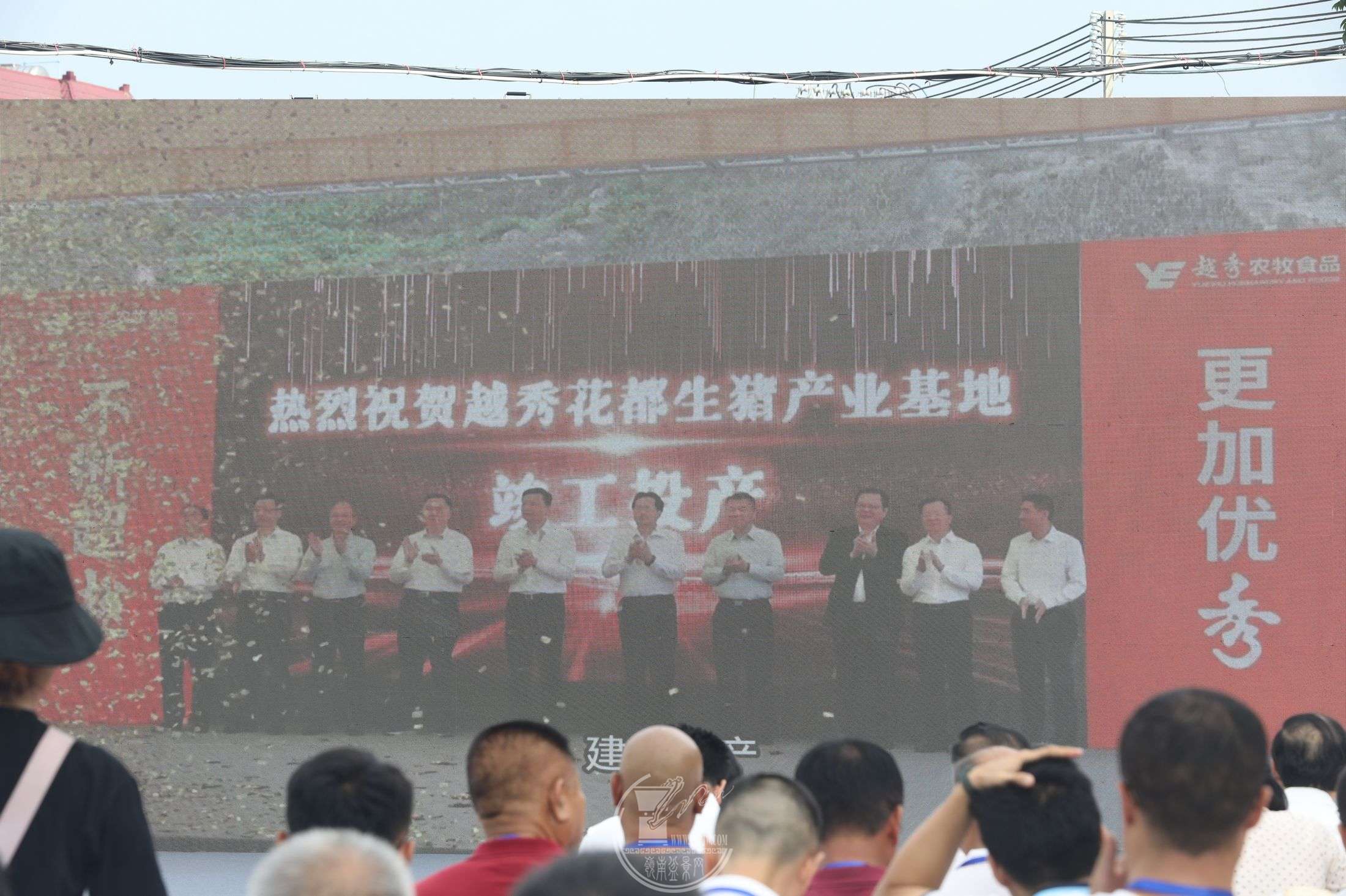 11BG1A8446.jpg