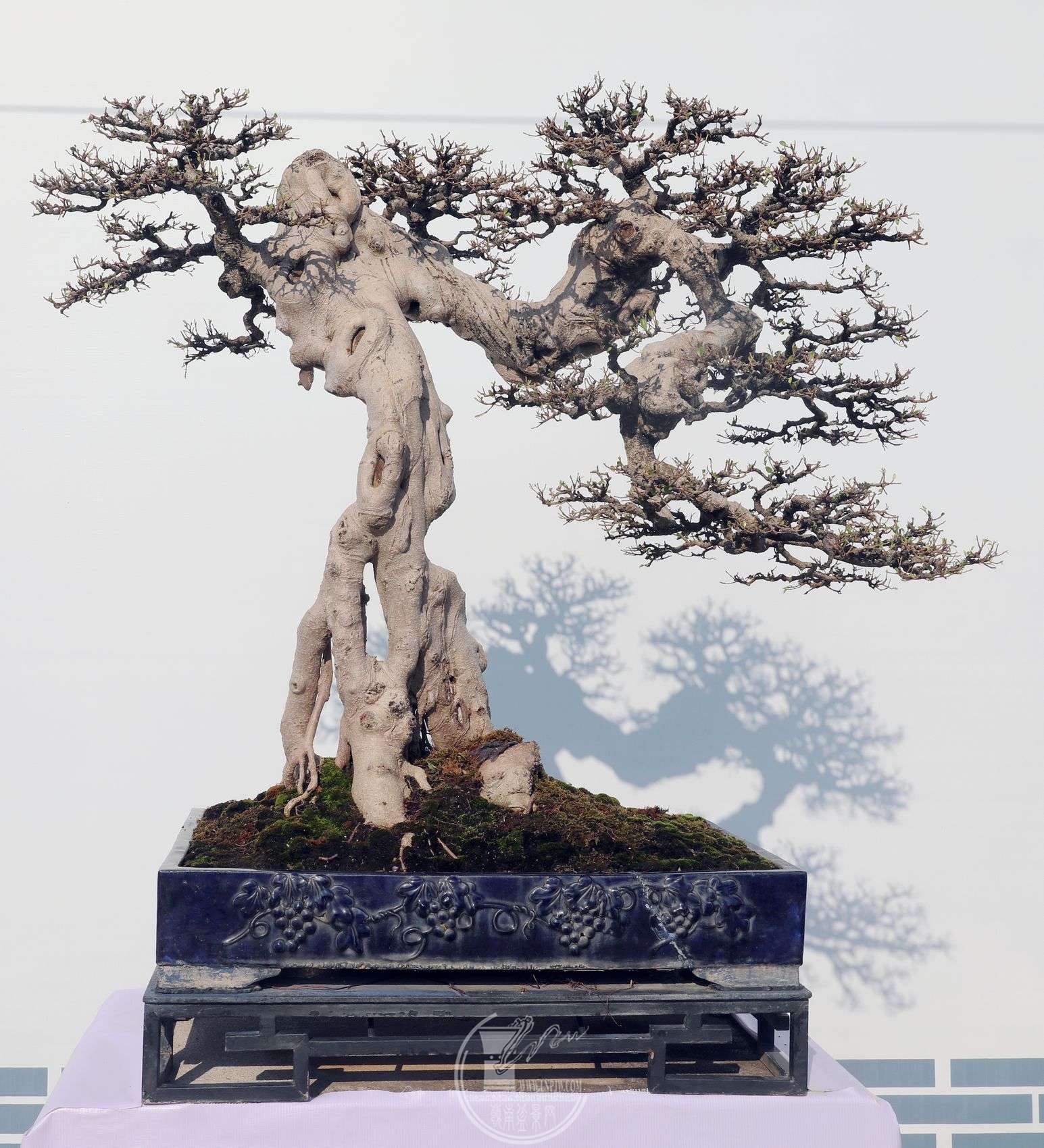 130в԰       ¼Ҿ              ع       90cm,70cm.jpg