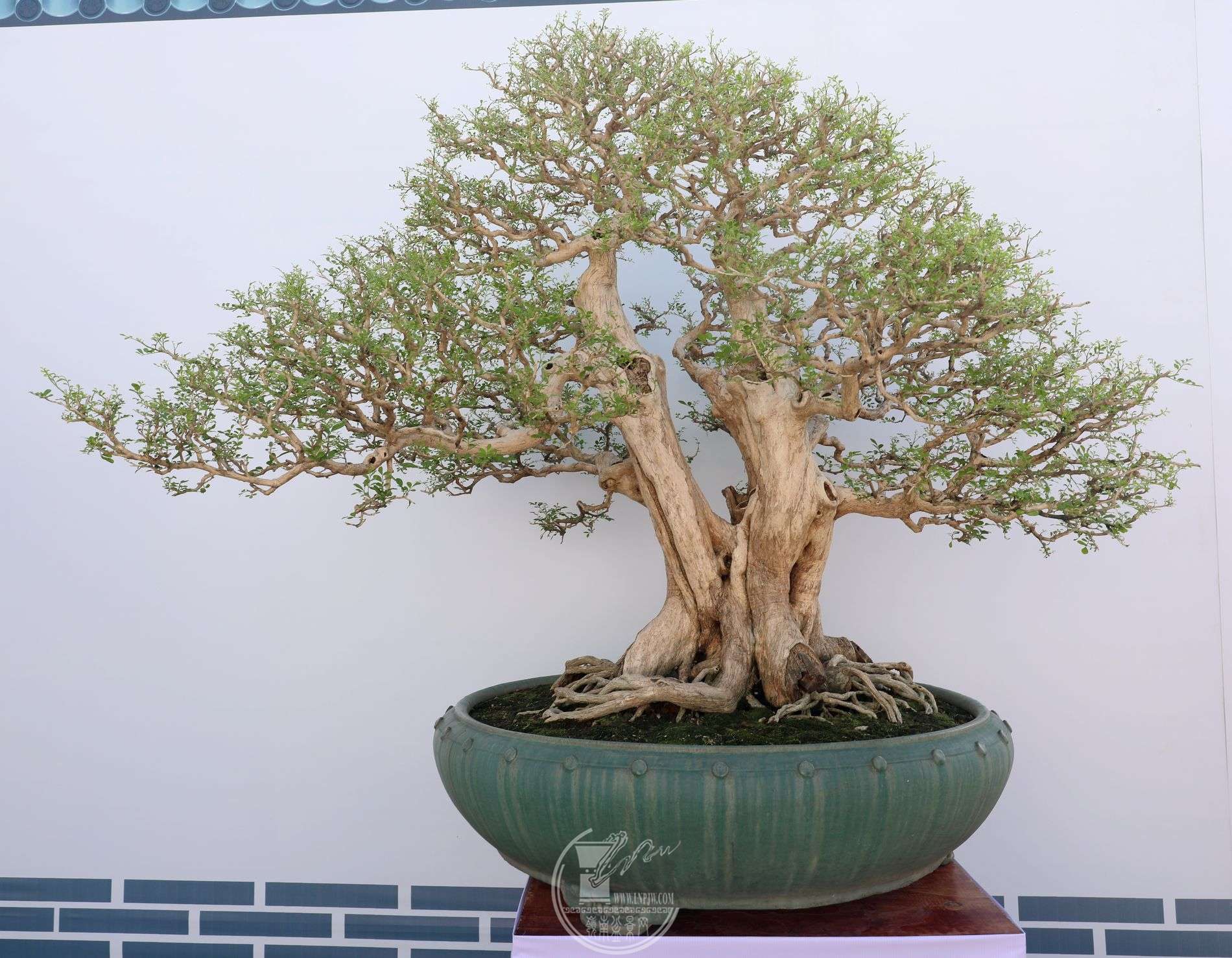 132¬                     ֱ100cm130cmֱ160cm .jpg