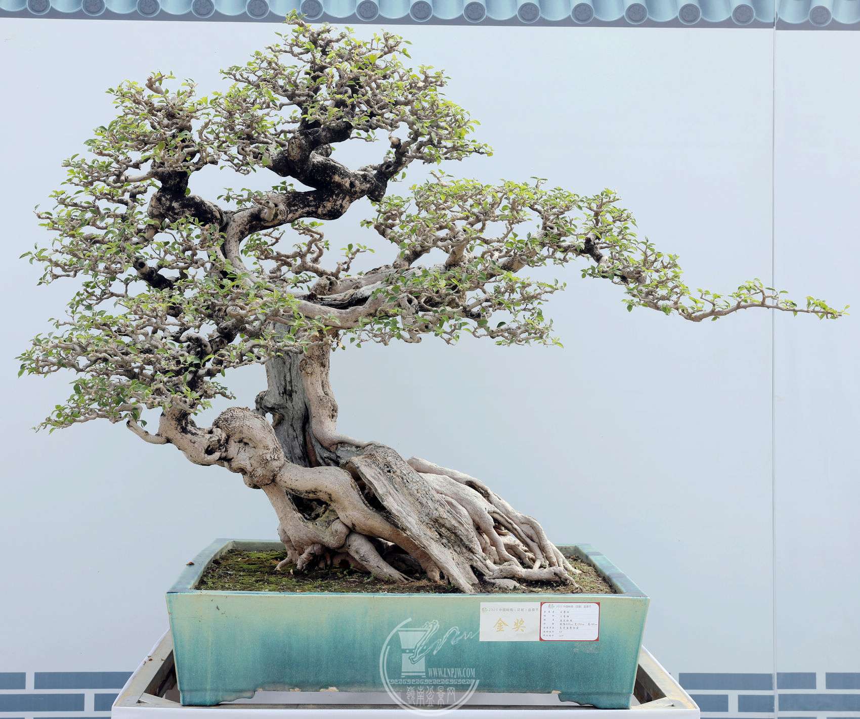 109ݸ辰Э              ÷              ڷ200cm,130.jpg