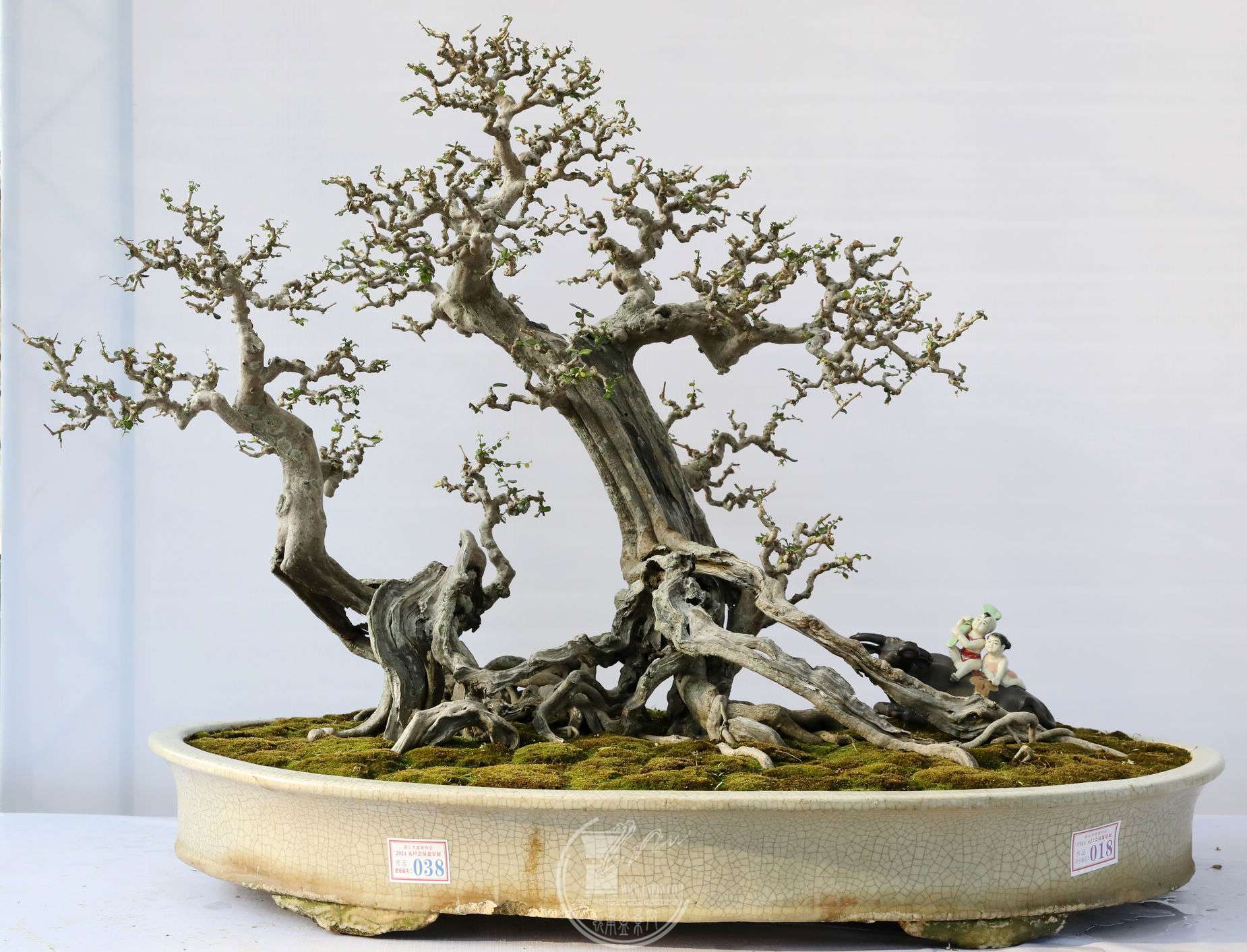 18н          賤130cm     100cm          BG1A7992.jpg