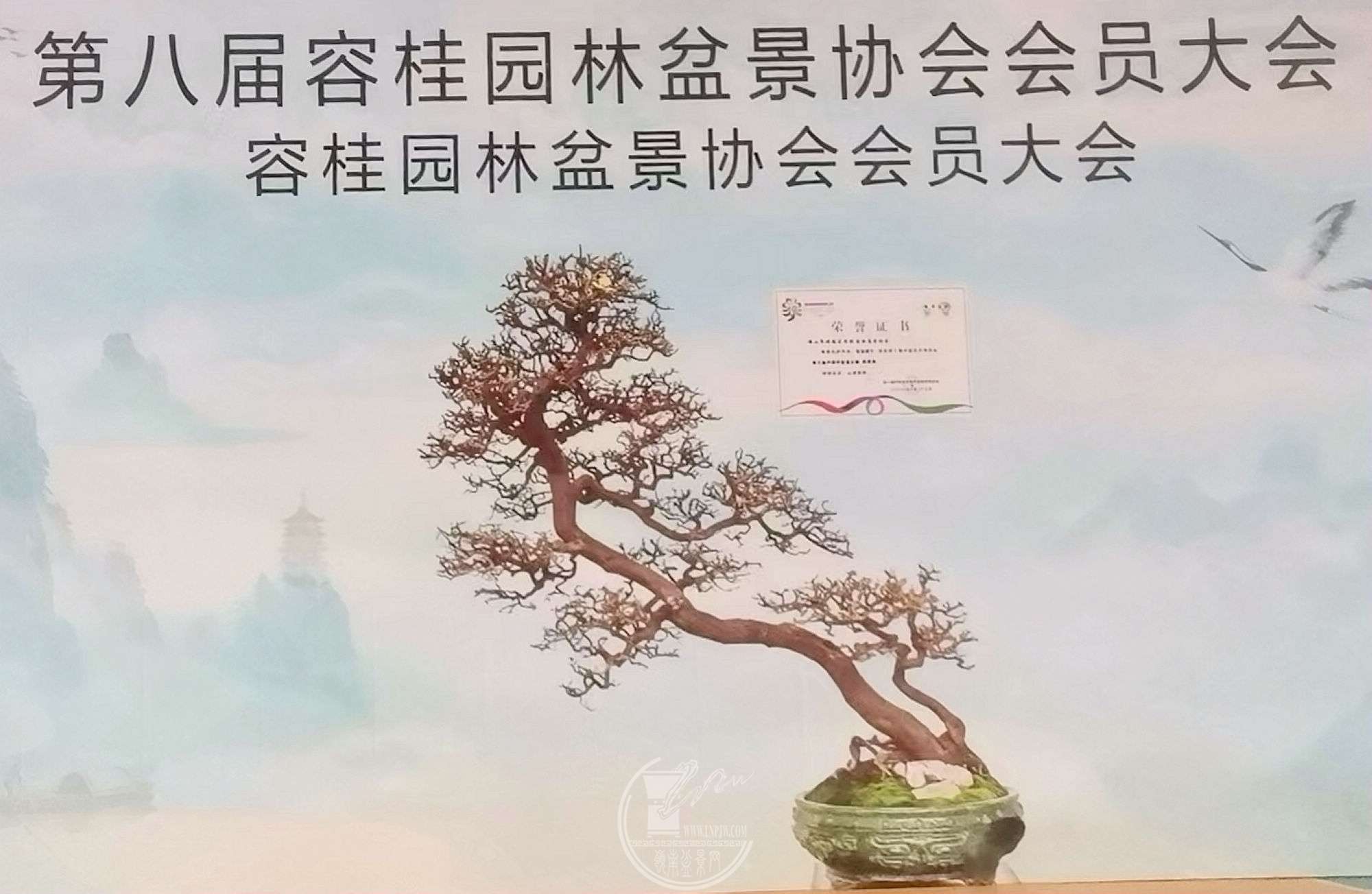 0.jpg
