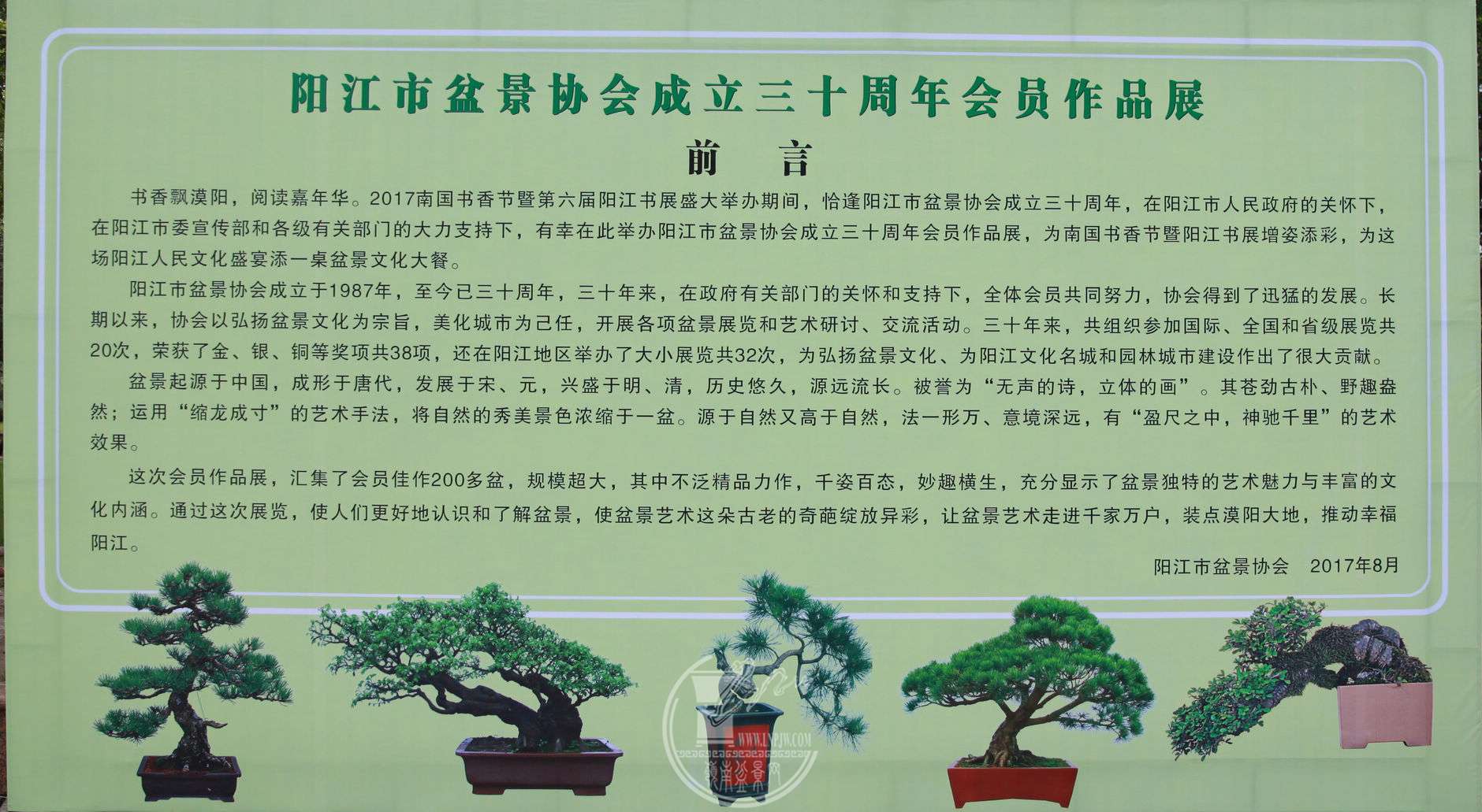 File0006375.jpg