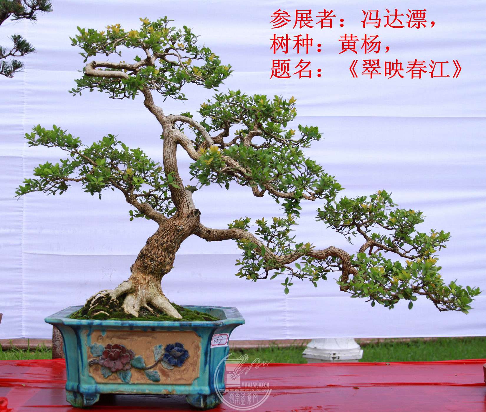 6File0006064.jpg