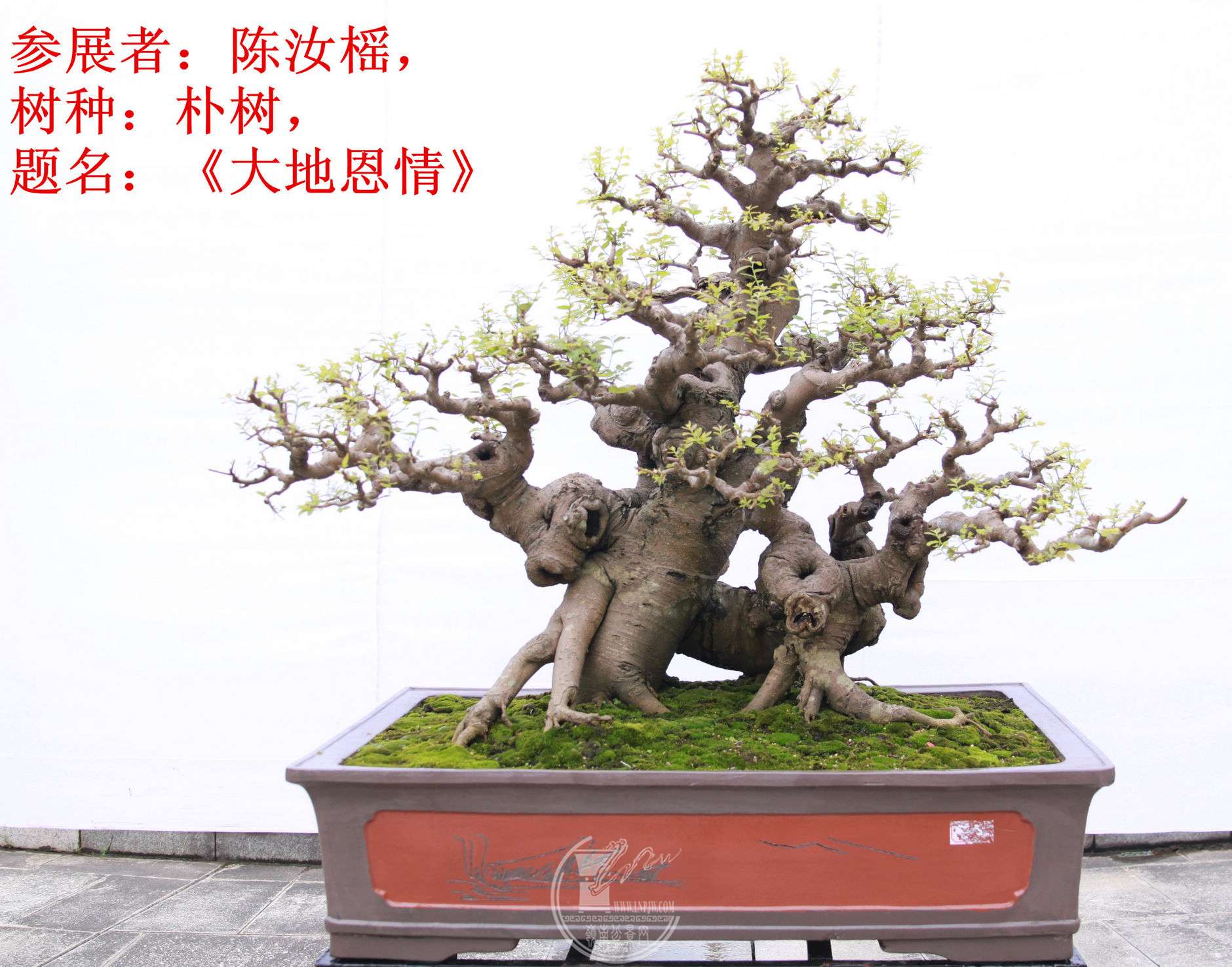 18File0006388.jpg
