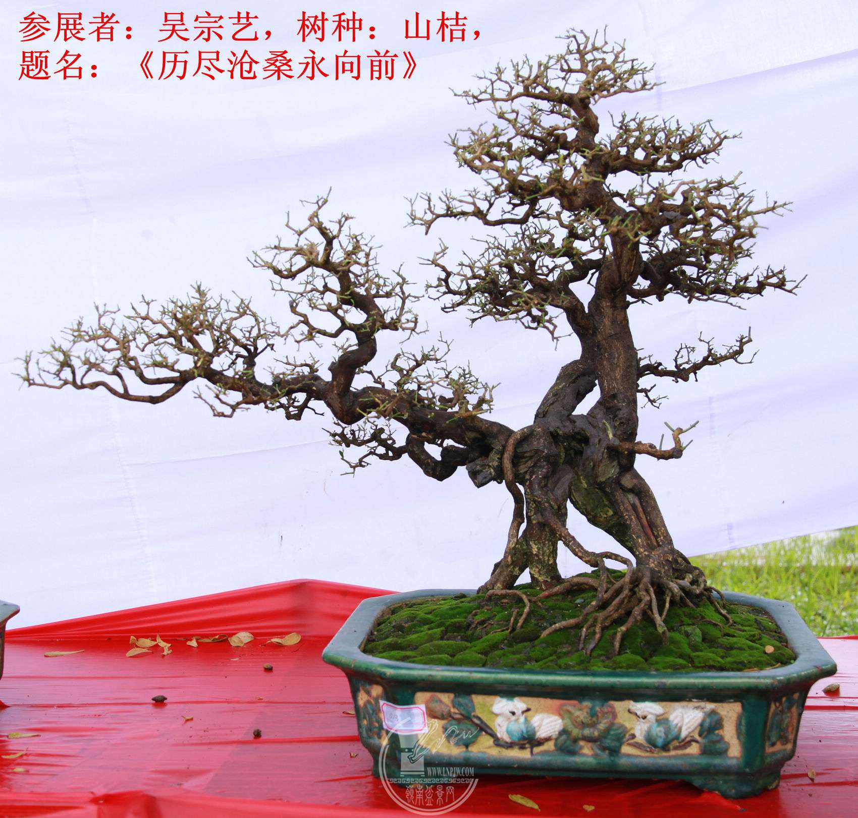 19File0006389.jpg
