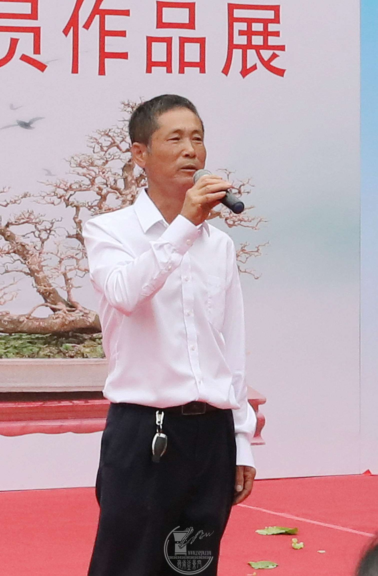 11BG1A9651.jpg