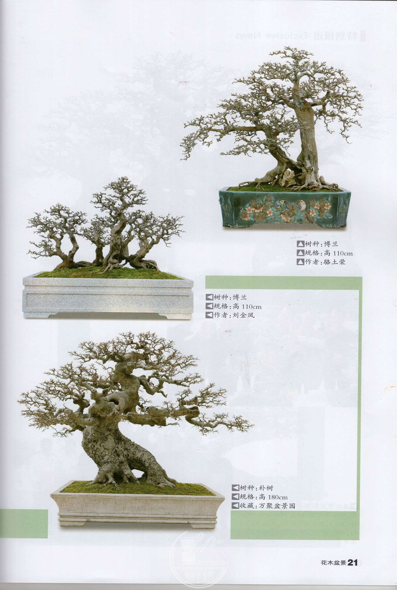 7img087.jpg