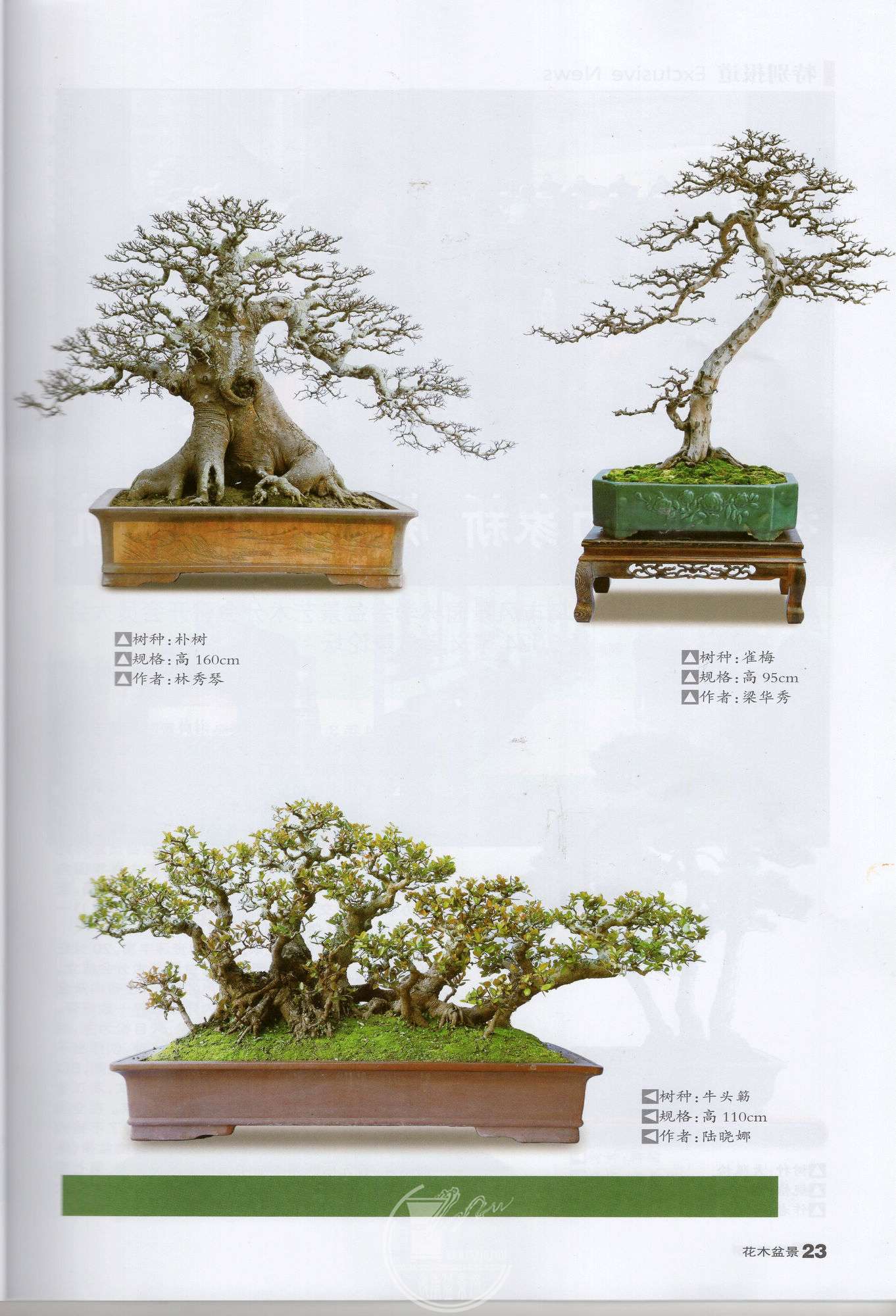 9img086.jpg