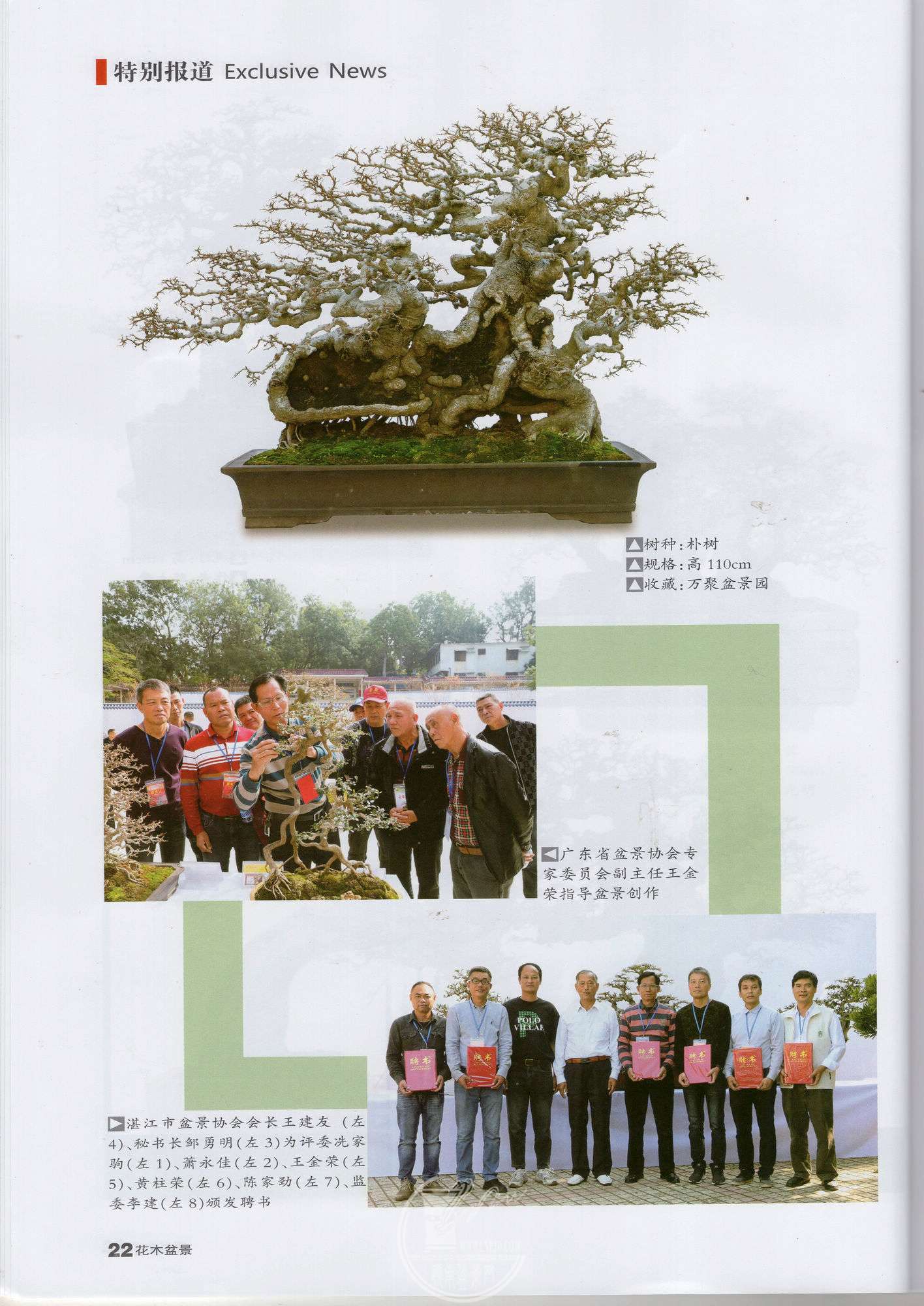 8img085.jpg