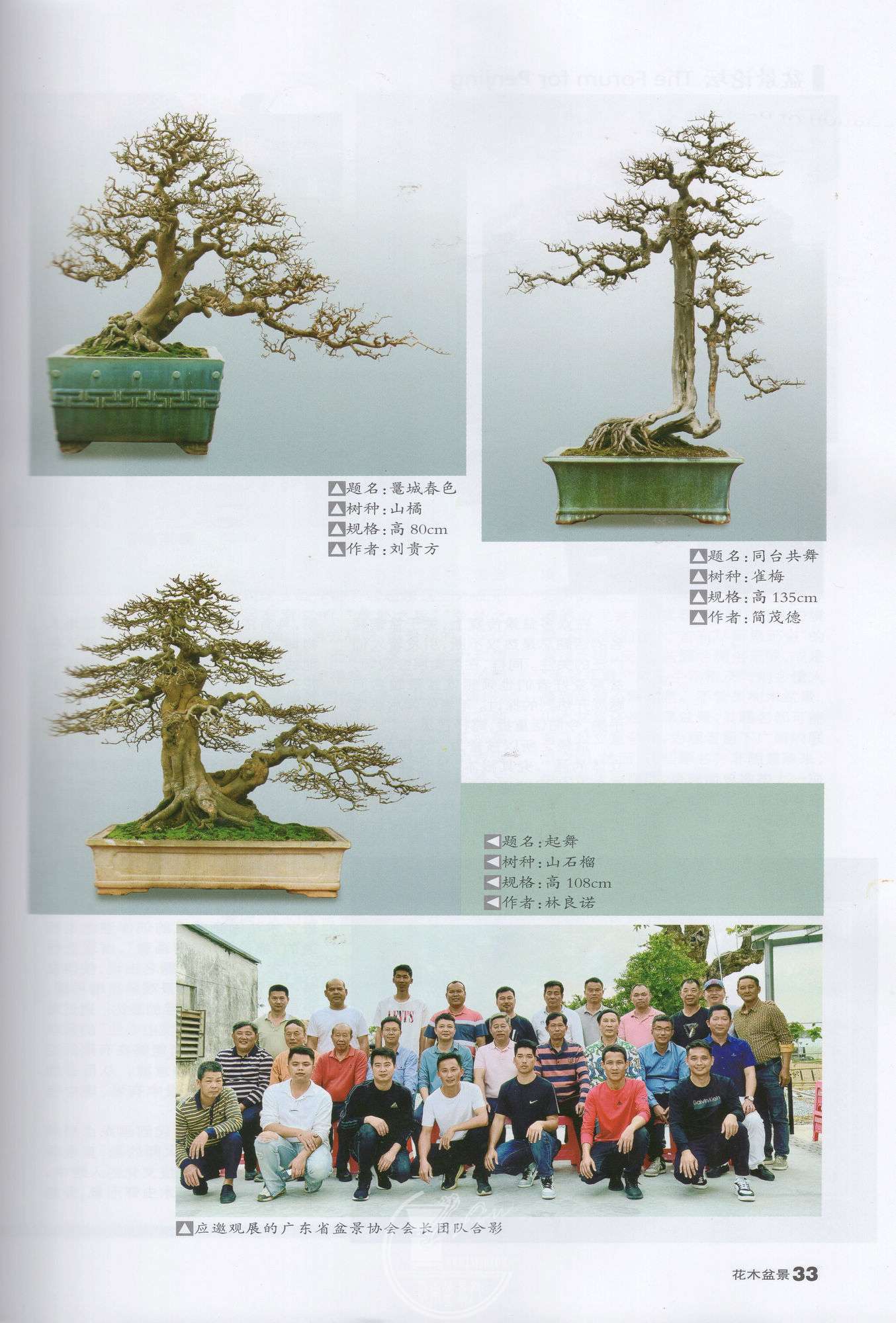 img091.jpg