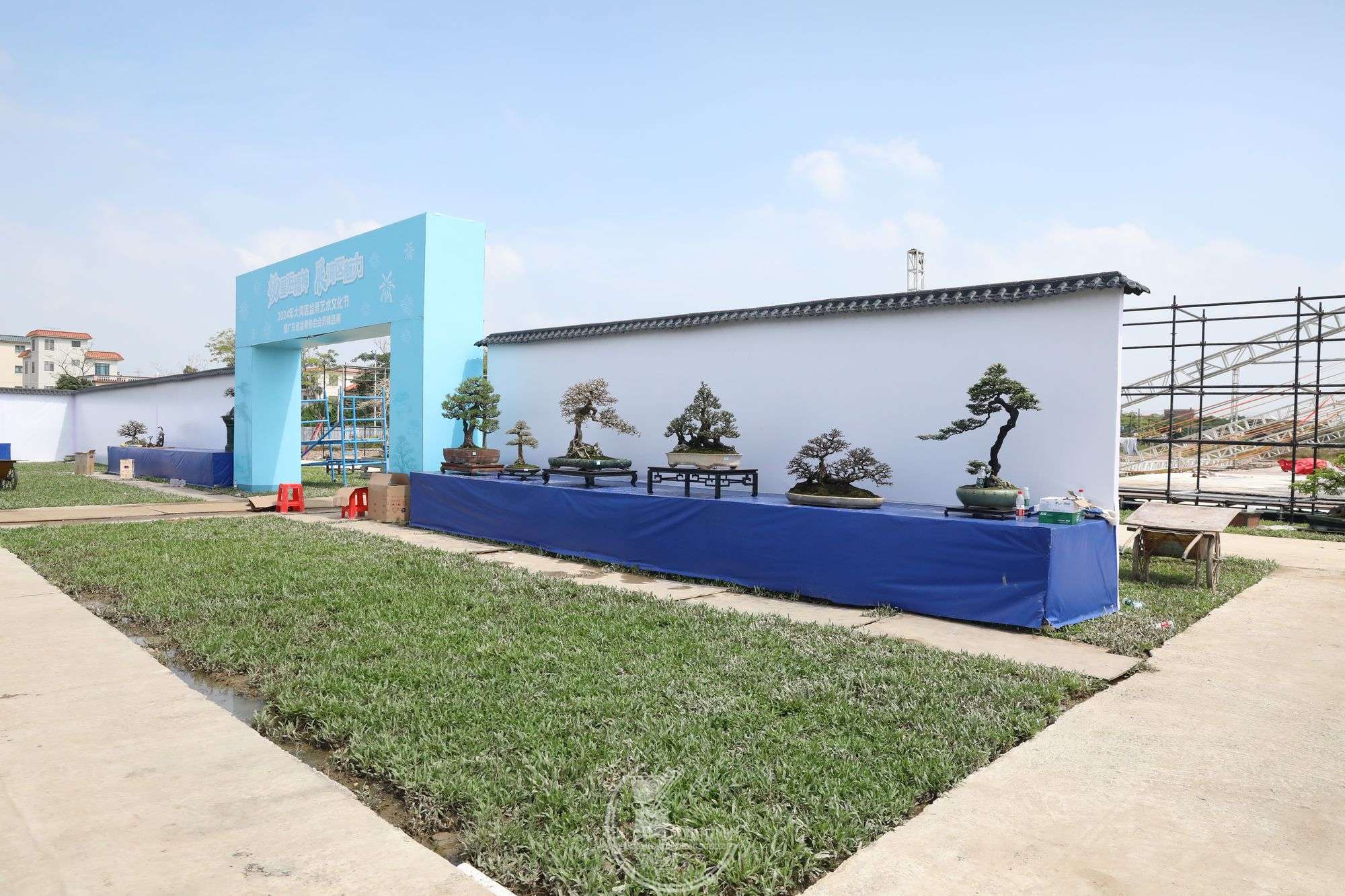 30BG1A6554.jpg