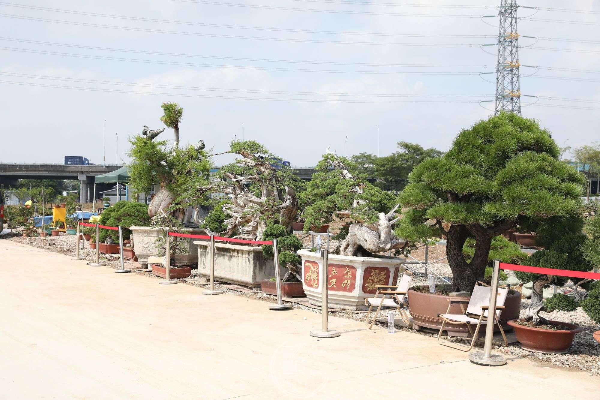 2BG1A6567.jpg