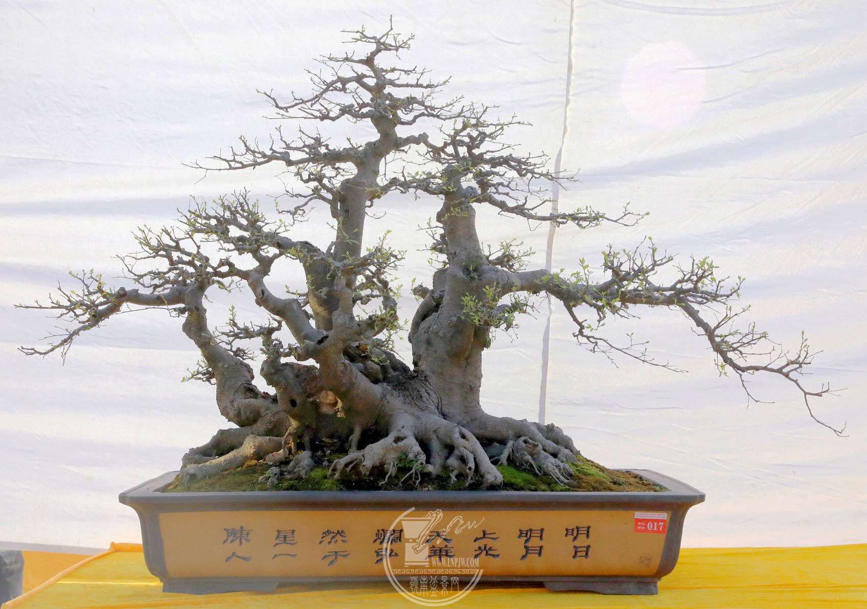 17          ̨     100  Ʈ180       BG1A8434.jpg