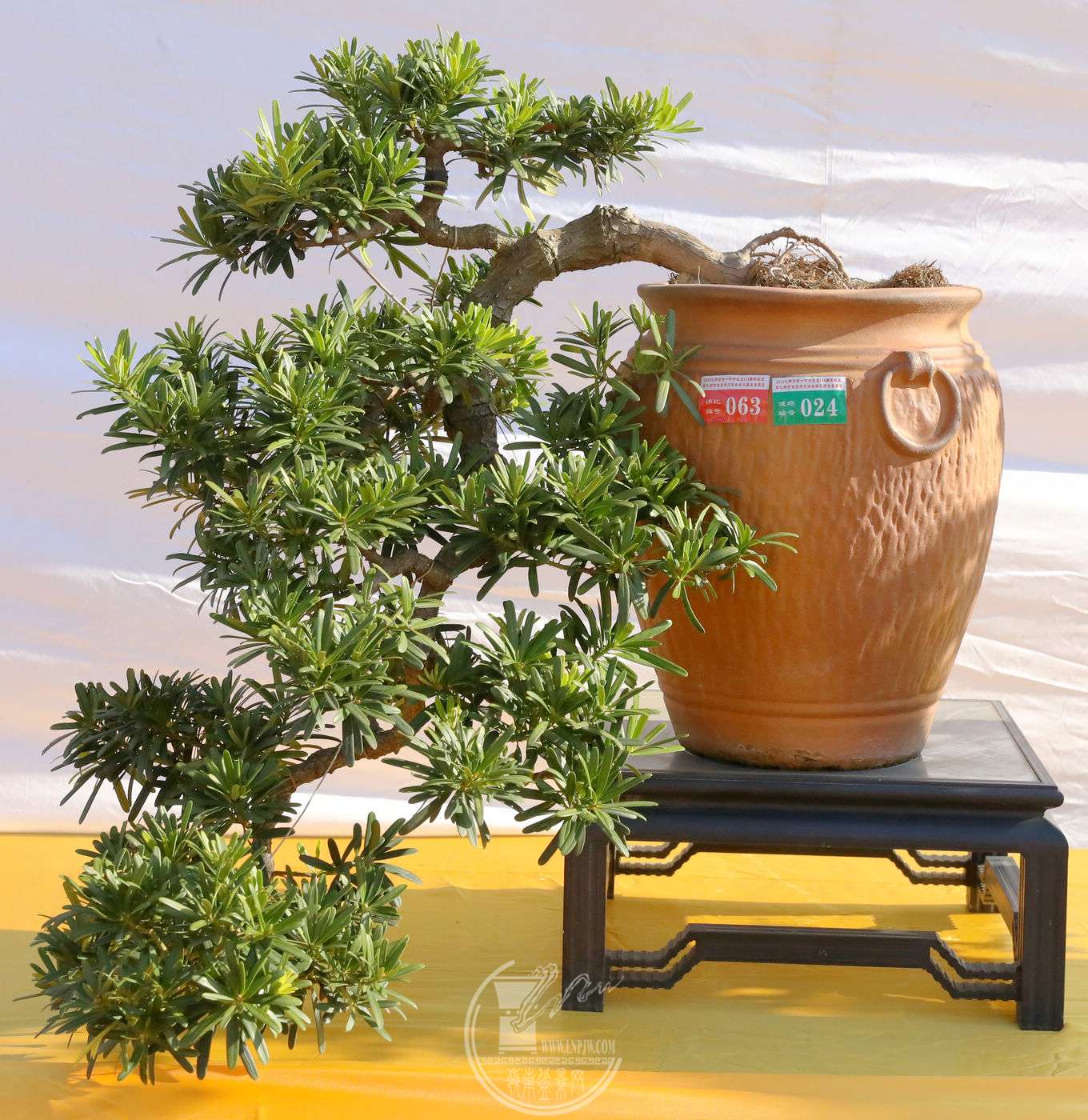 63    ޺           Ʈ65    ͭ    BG1A8529.jpg