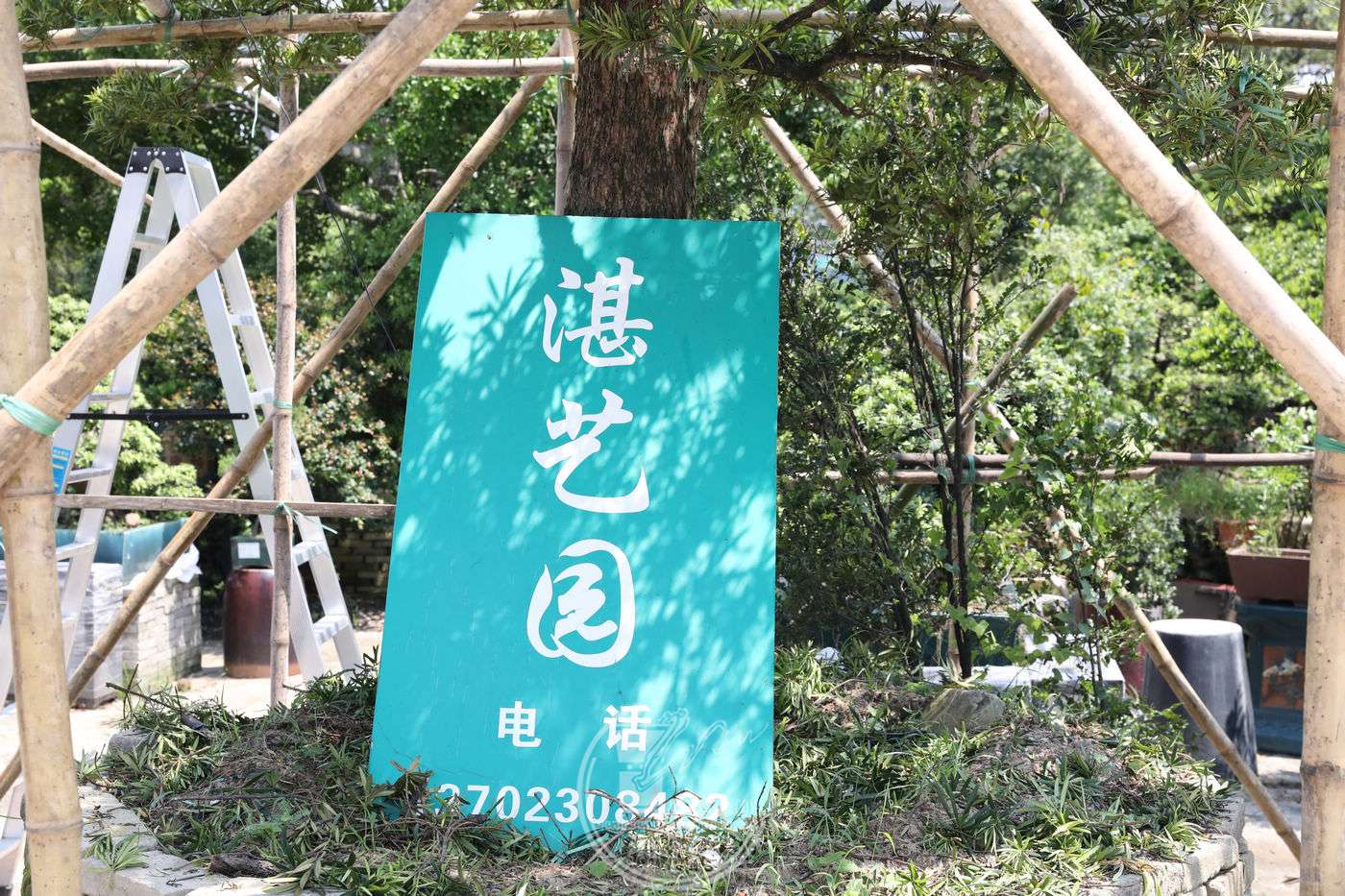 2BG1A6469.jpg
