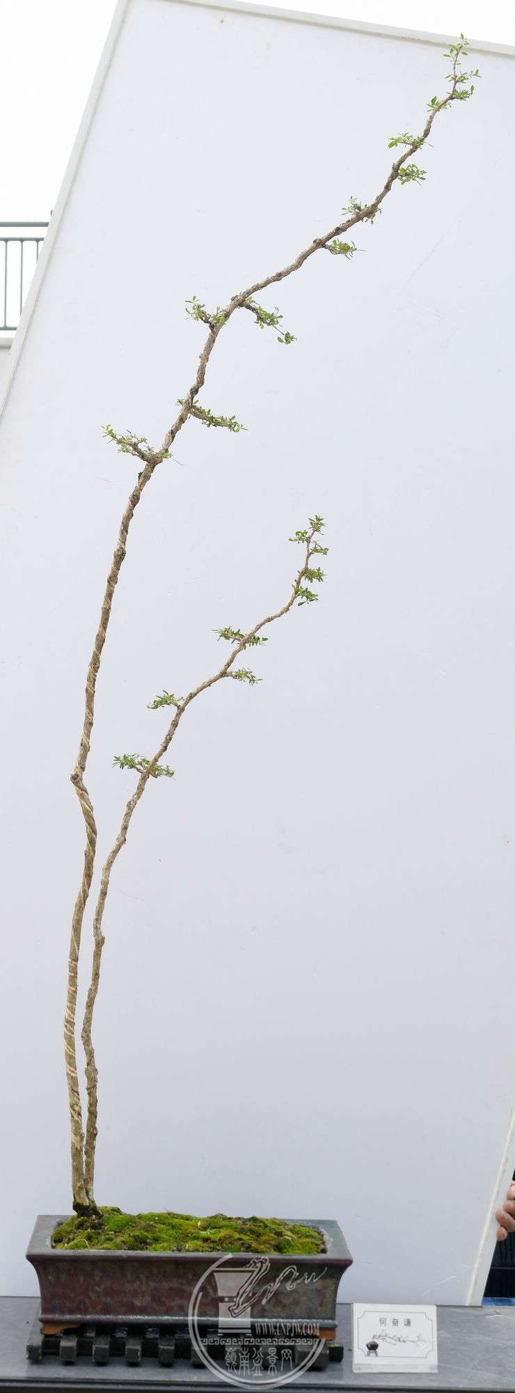 ηǫƷDSC_5983.jpg