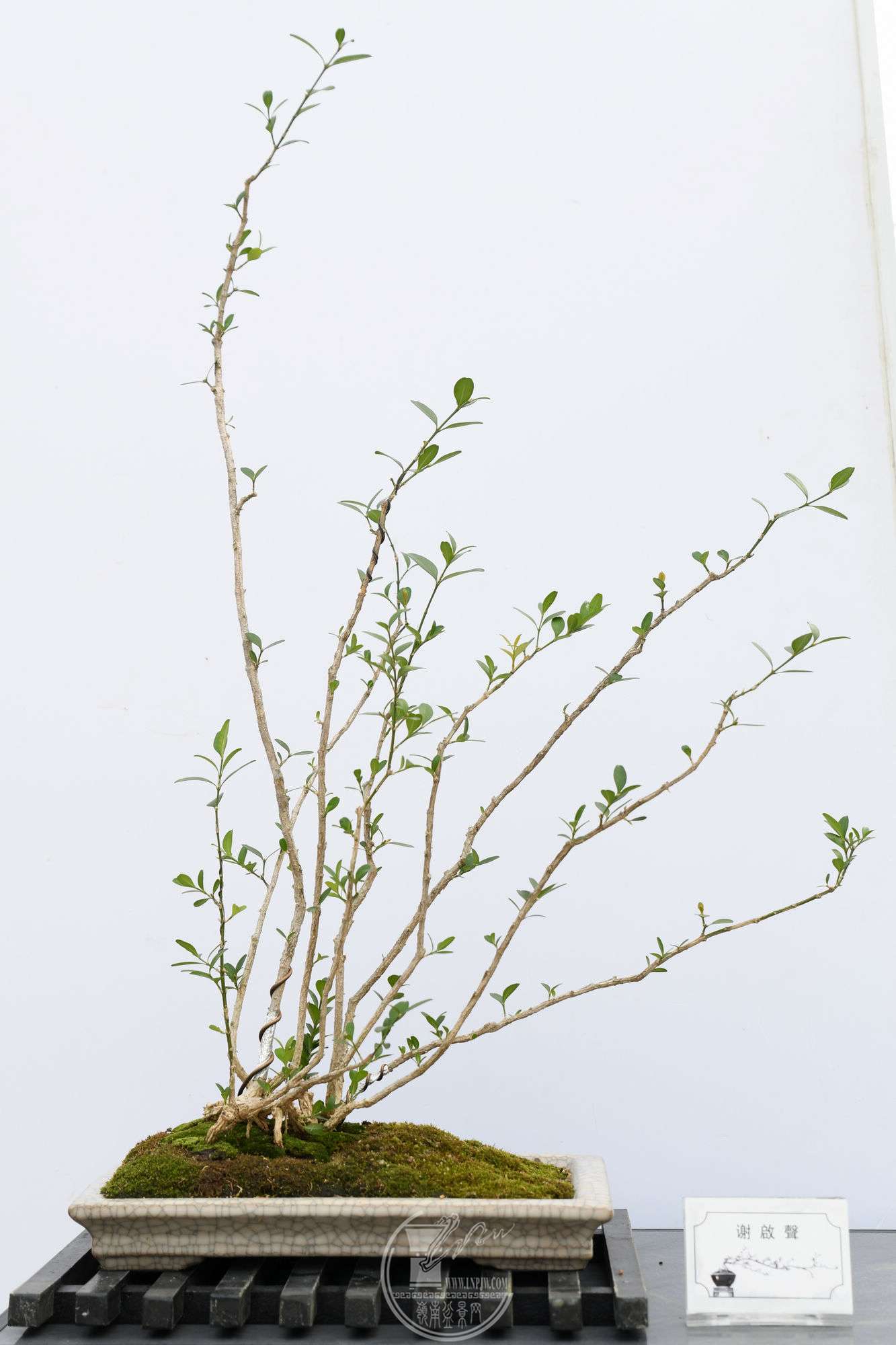 лƷDSC_5978.jpg