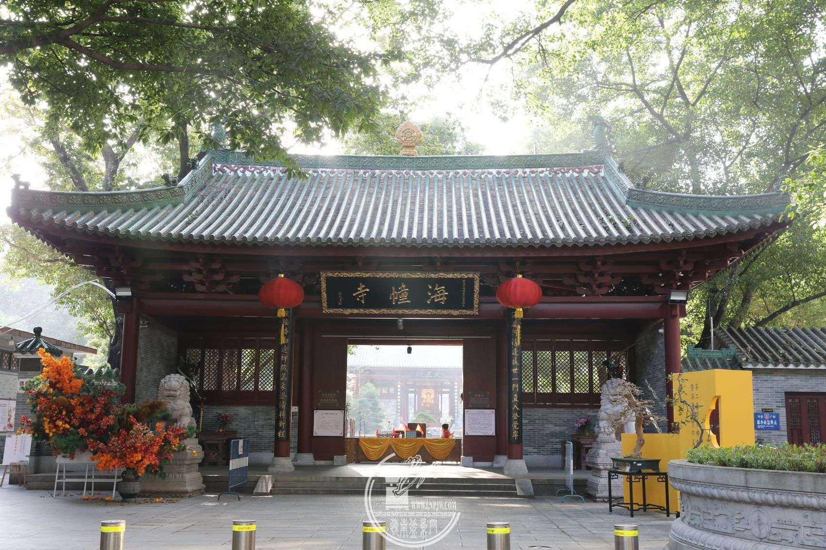 072850ywoqegad2pnbcoqf.jpg