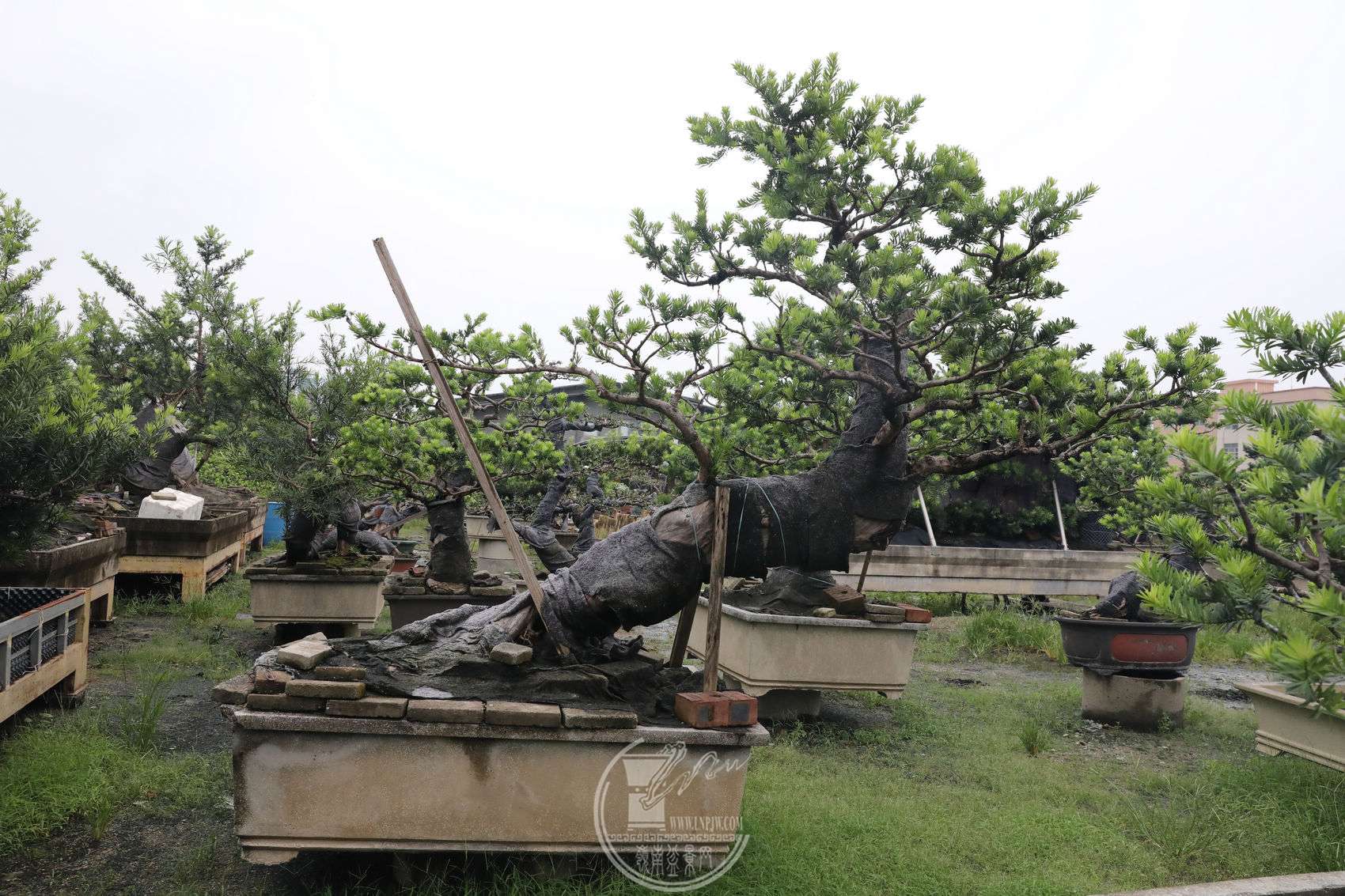 16BG1A5949.jpg