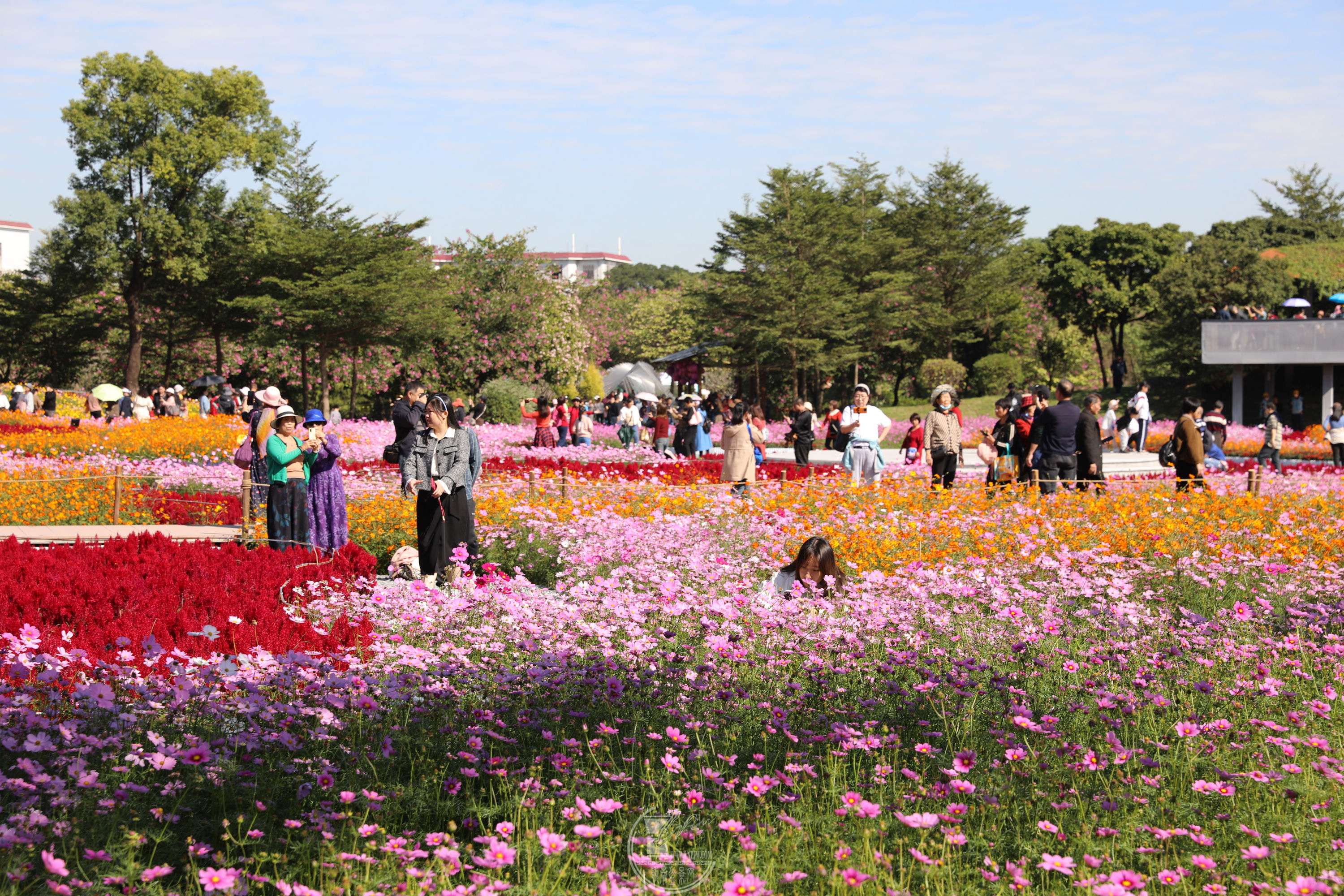 BG1A9319.jpg