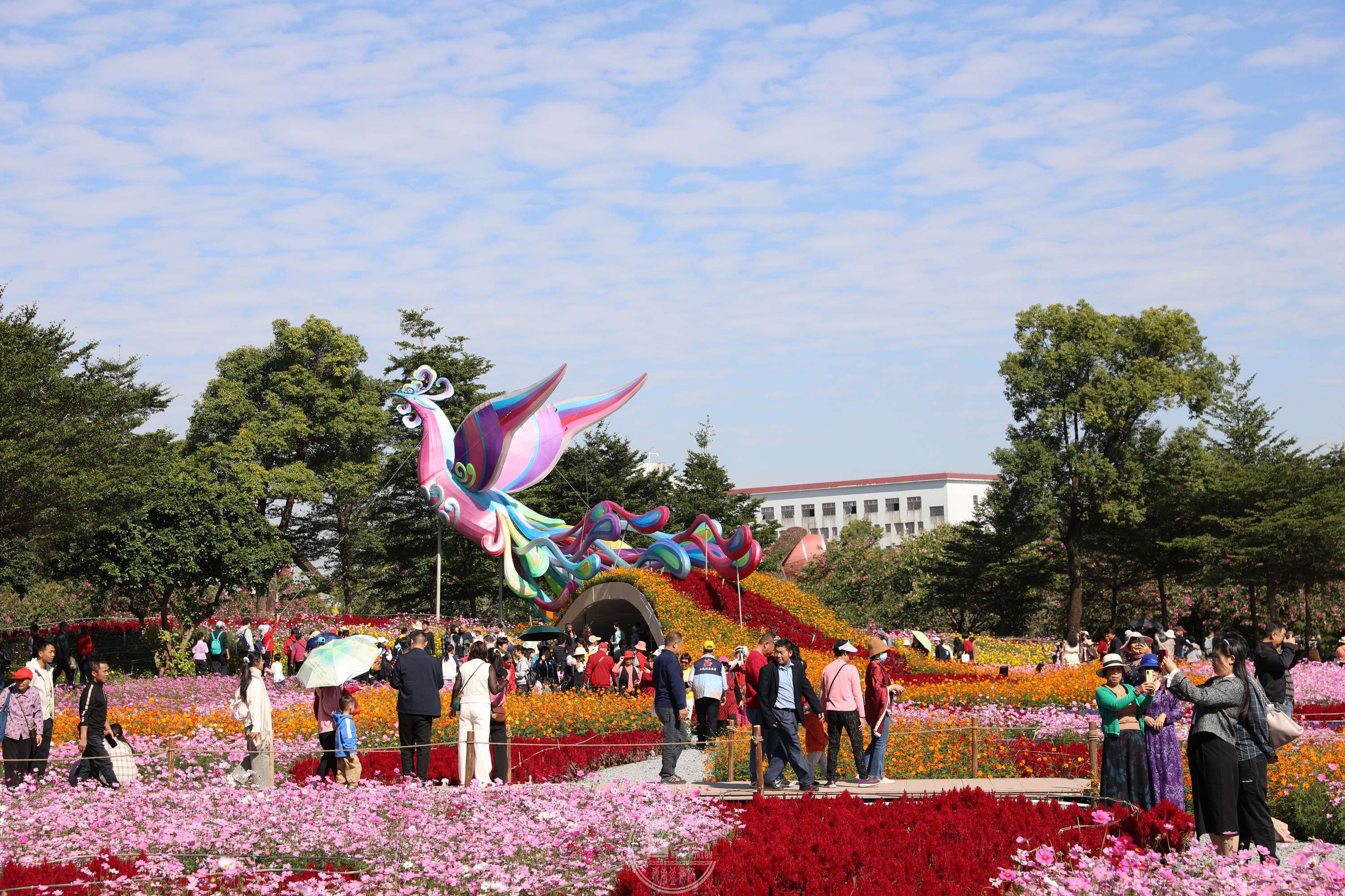 BG1A9322.jpg