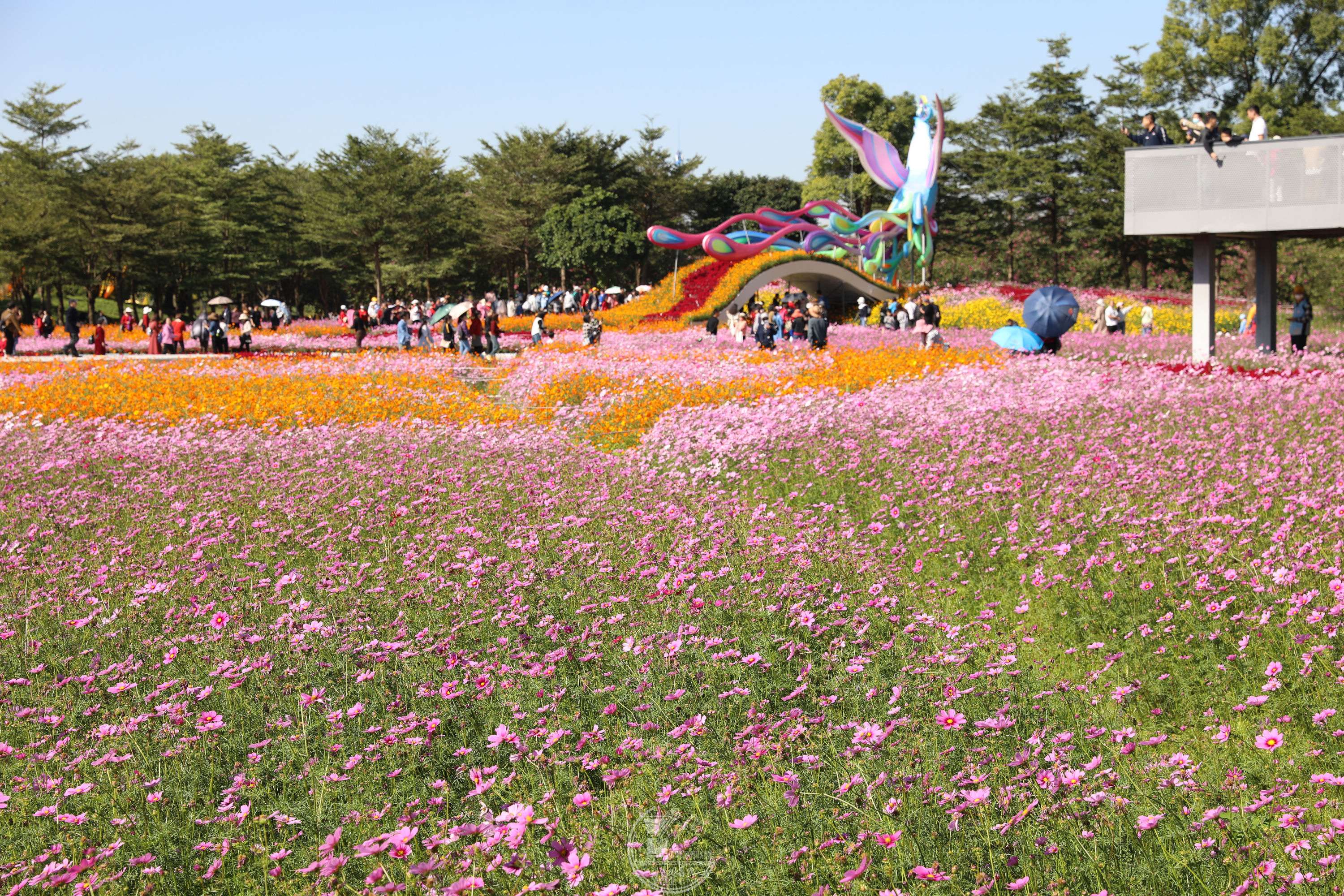 BG1A9328.jpg