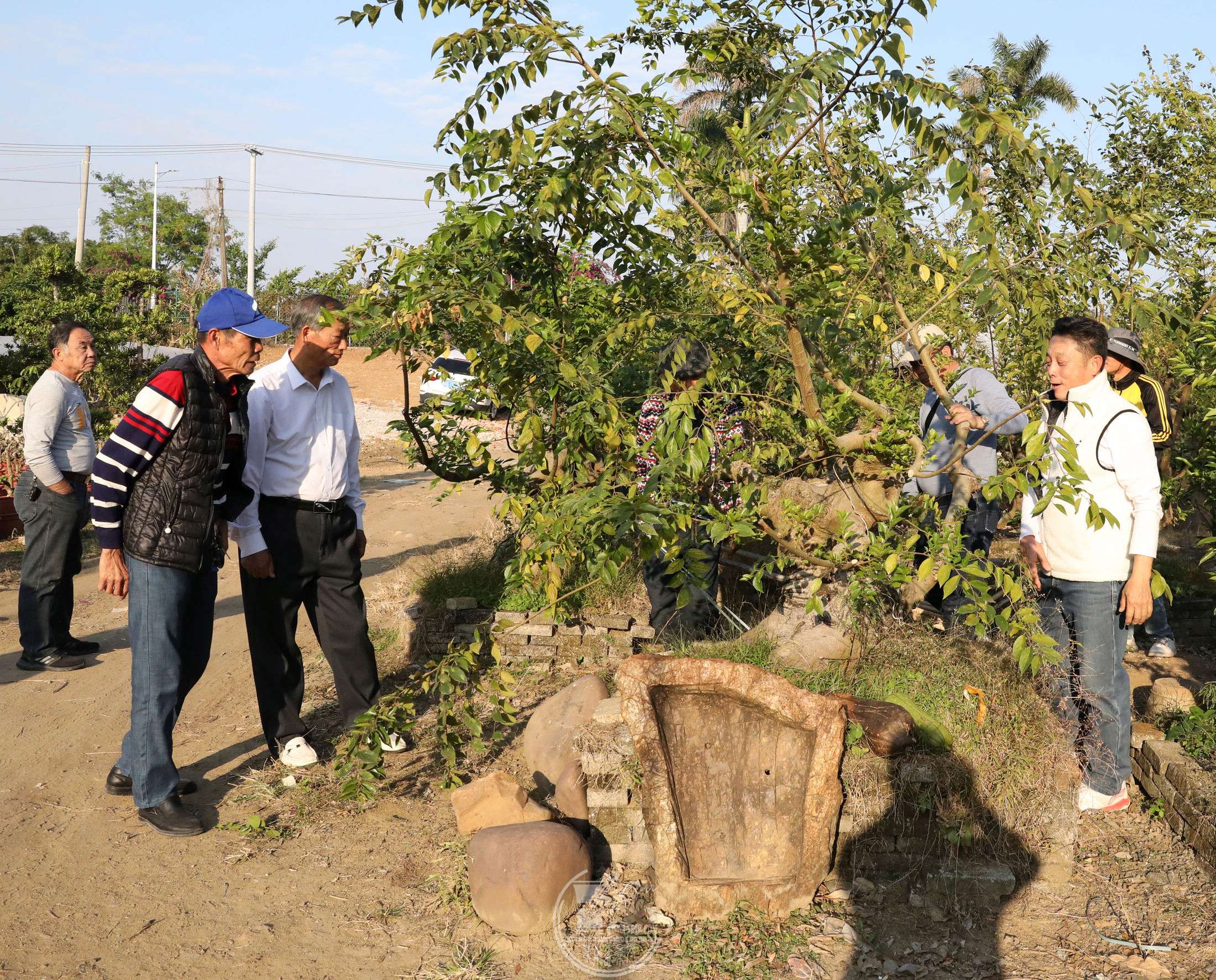 12BG1A0462.jpg