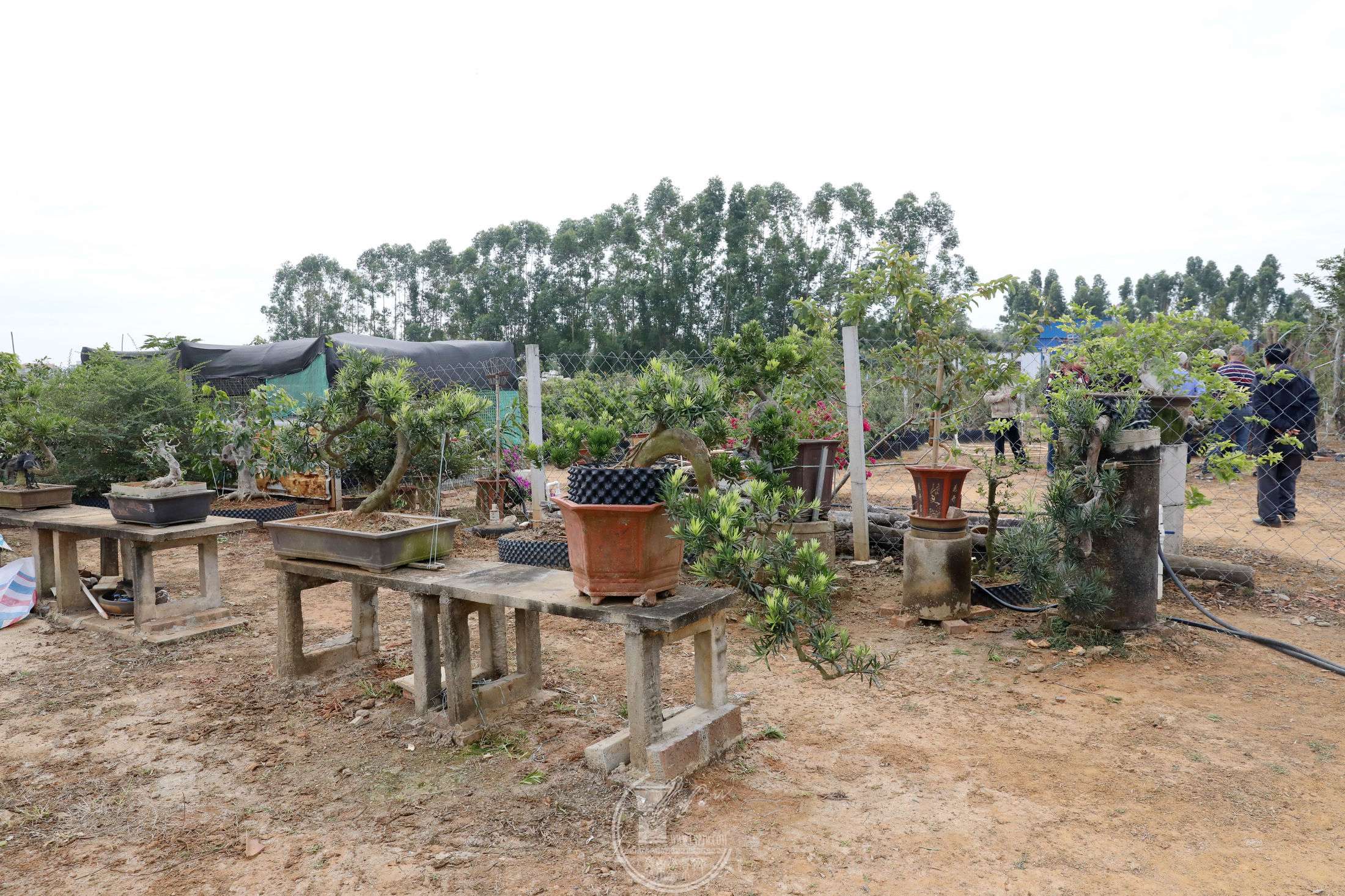 6BG1A0605.jpg