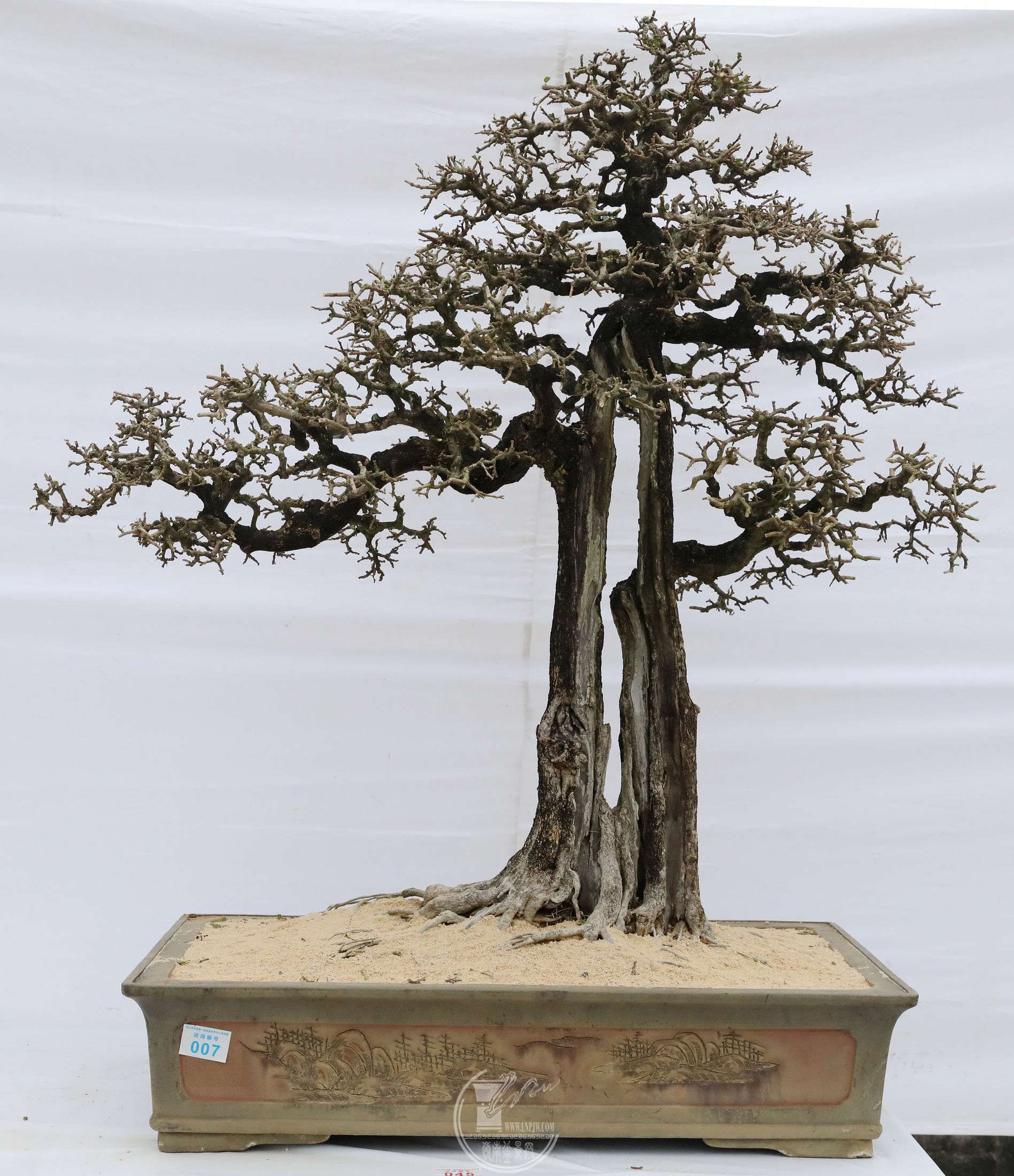 45          ׳־BG1A0974.jpg