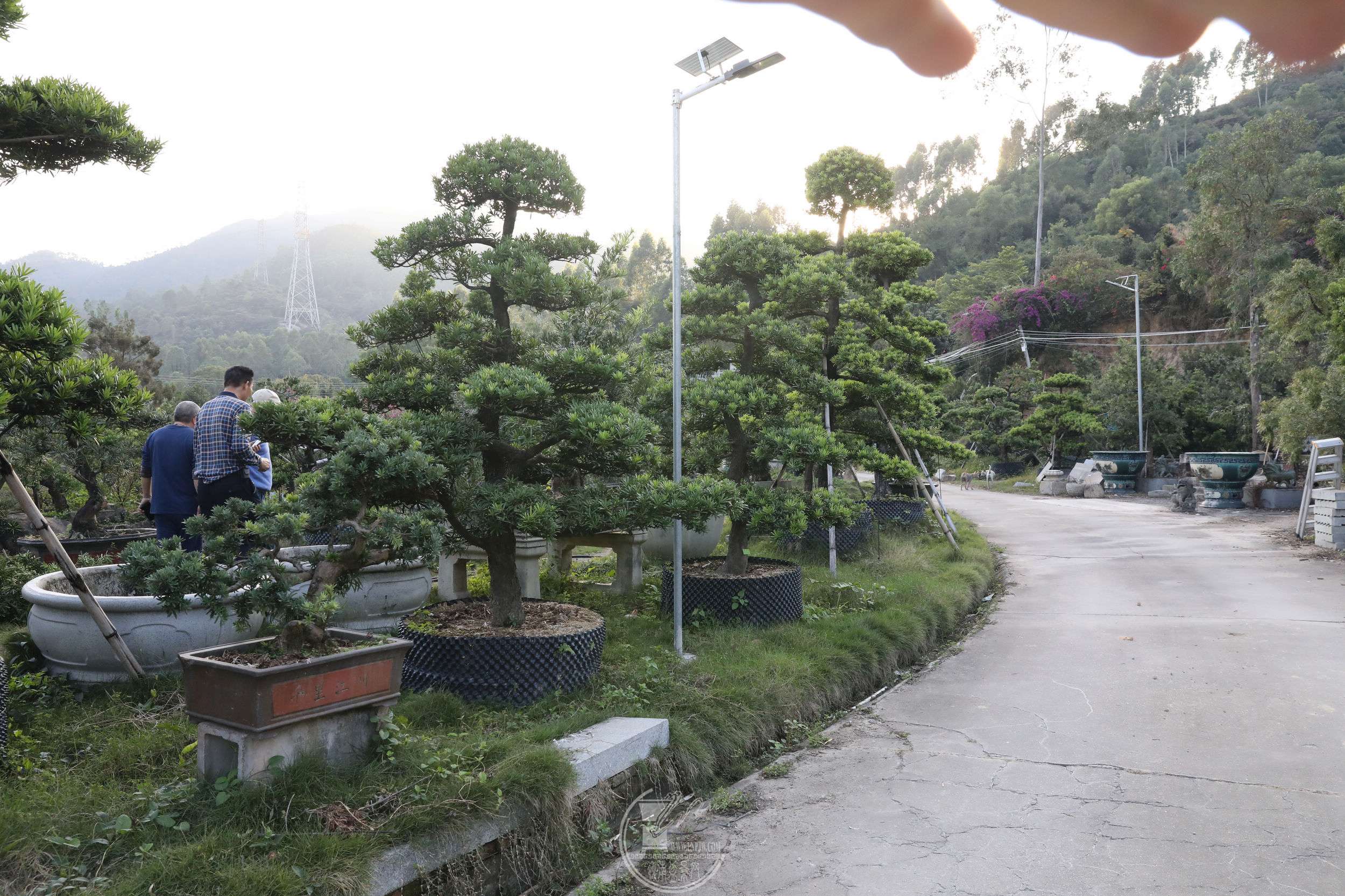 19޺ɾBG1A9733.jpg