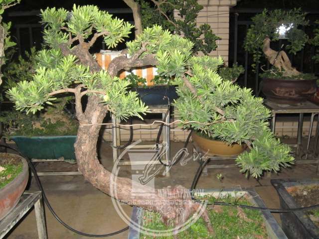 IMG_1189.JPG