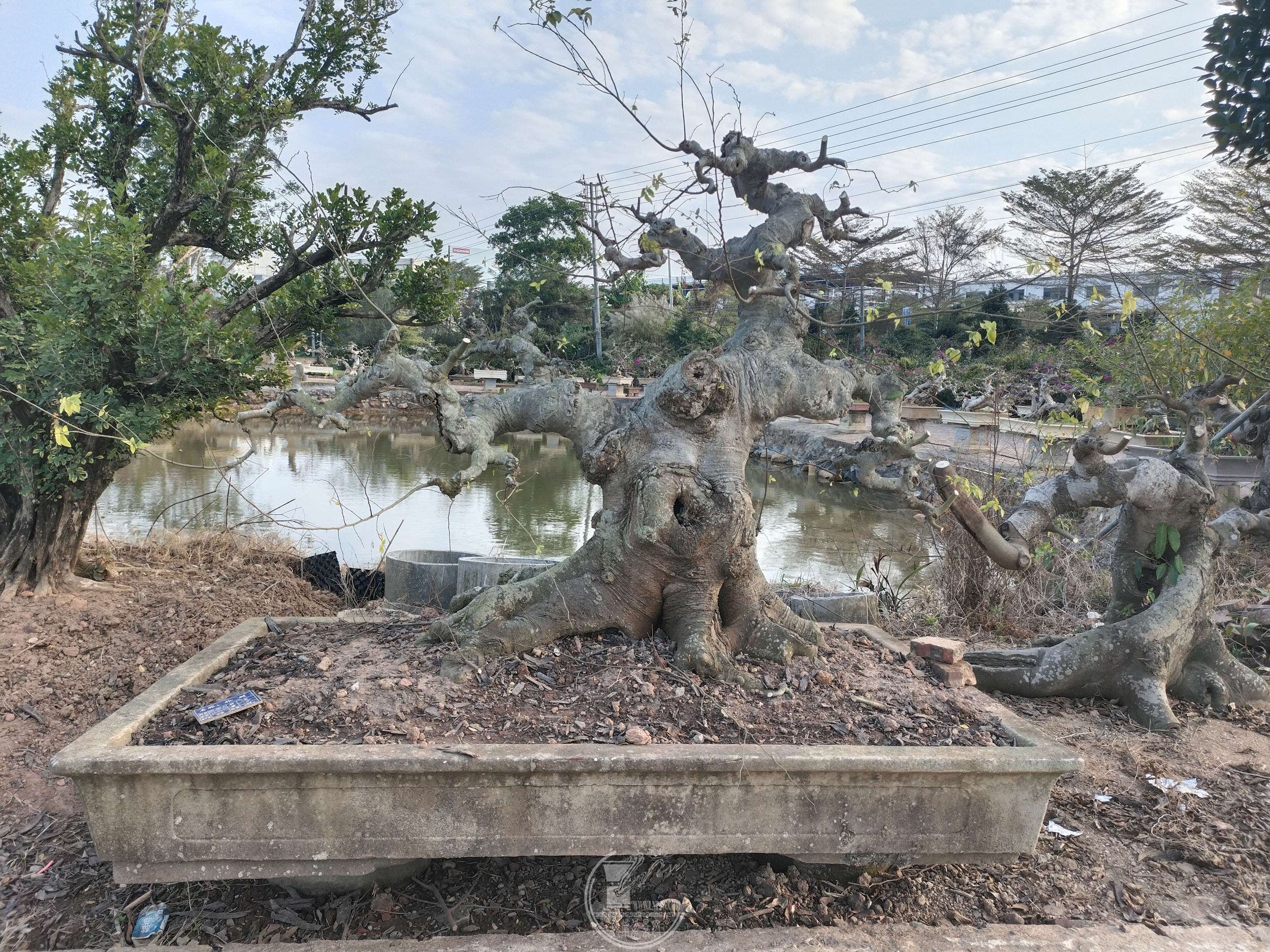 ΢ͼƬ_20250125221921.jpg