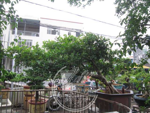 IMG_4587.JPG