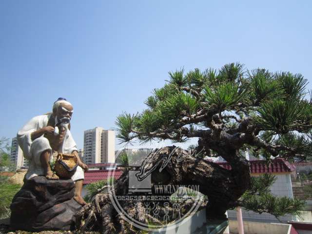IMG_5920.JPG