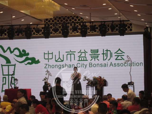 IMG_8531.JPG