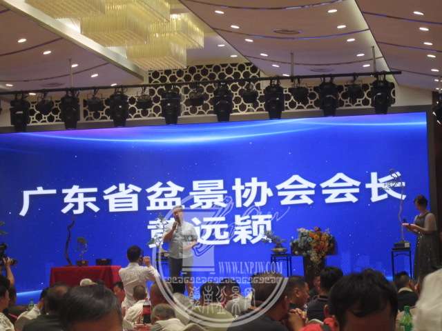 IMG_8535.JPG