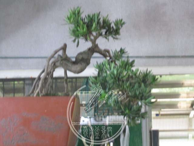 IMG_6291.JPG