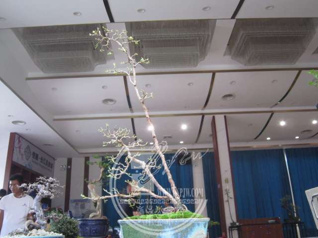 IMG_8416.JPG