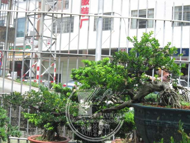 IMG_7186.JPG