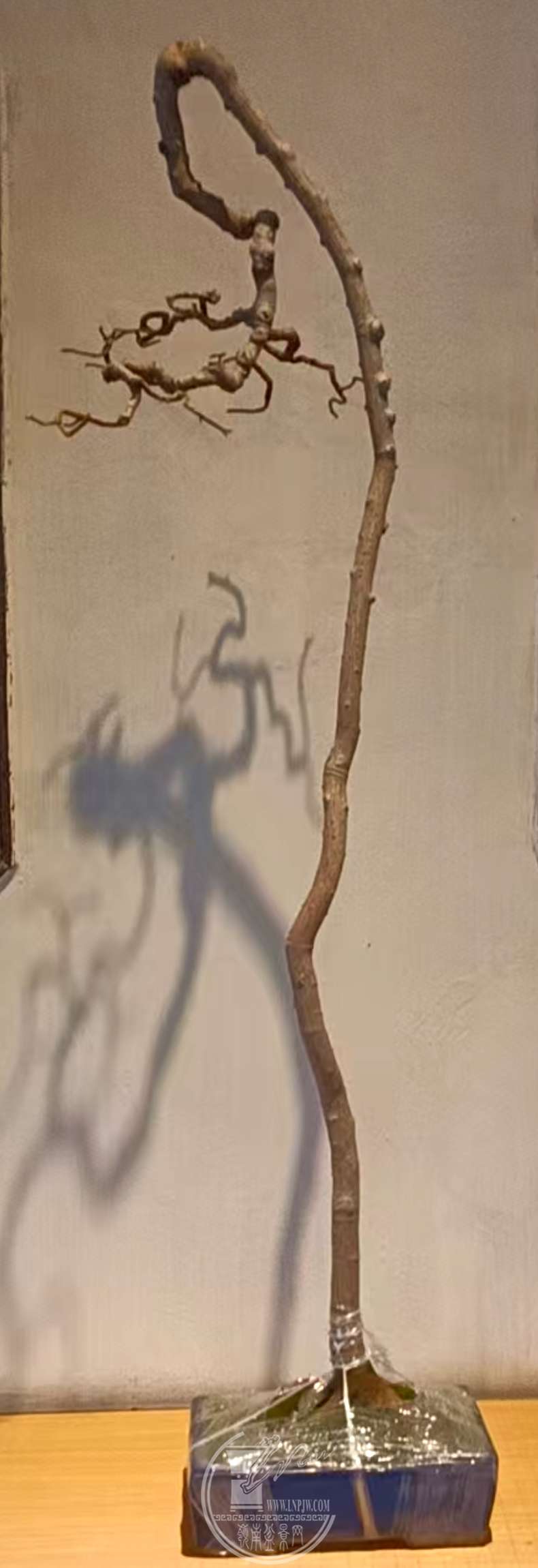 ΢ͼƬ_20250715235631.jpg