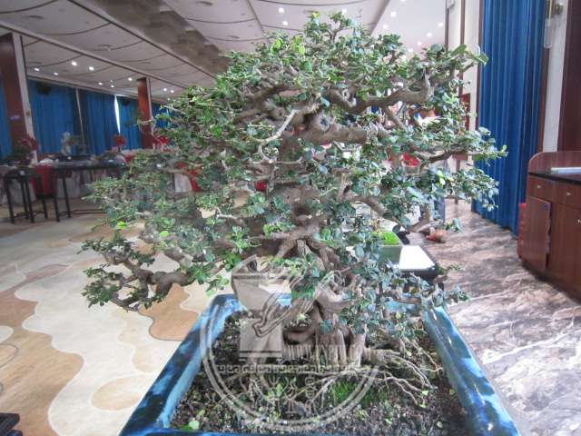 IMG_8454.JPG