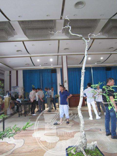 IMG_8458.JPG