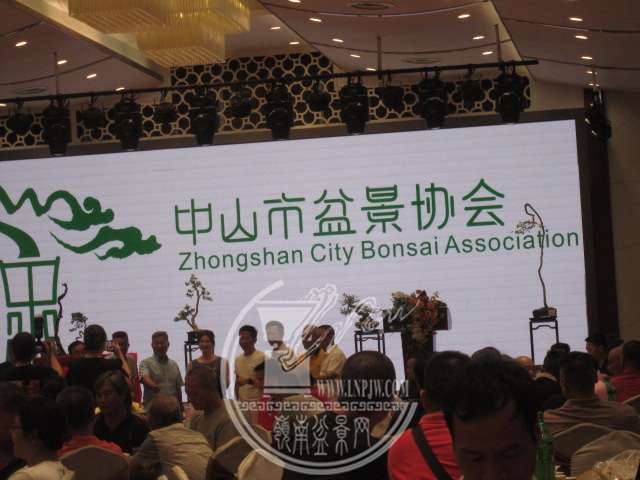 IMG_8530.JPG