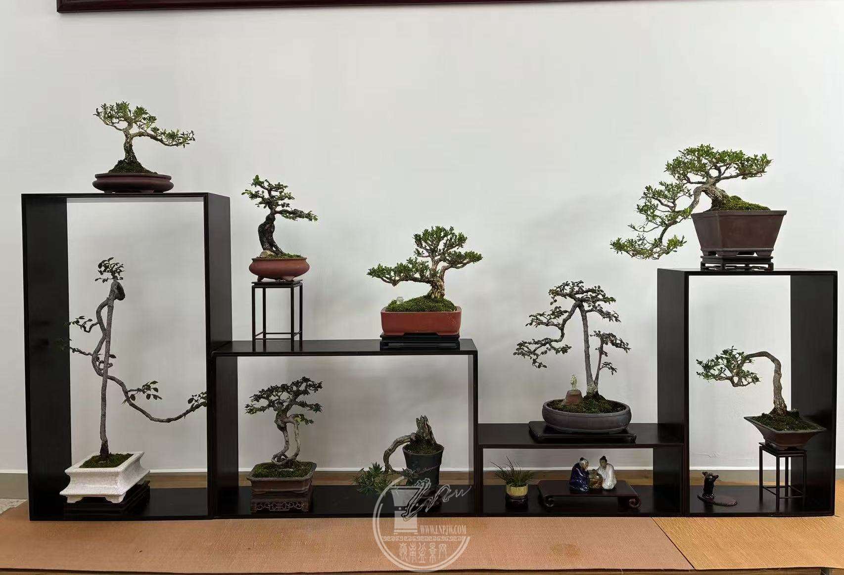 23辰 ͷвչߣТ չ֣޺.jpg