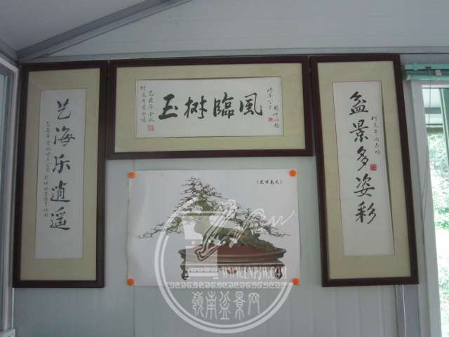 IMG_6998.JPG
